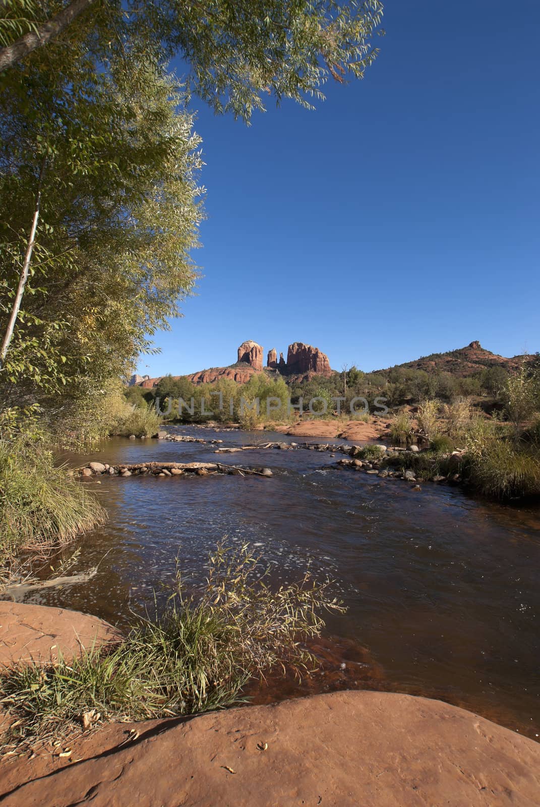 Oak Creek and Cathedral rock in distance near Sedona. by Claudine