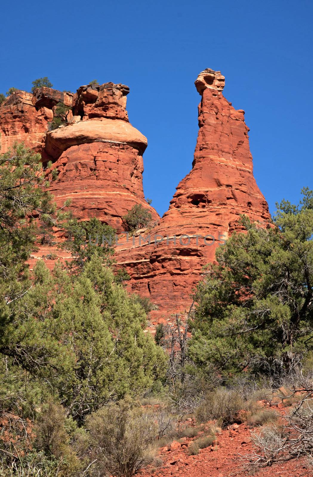 Red rock peaks tower over scrubs in the desert near Sedona. by Claudine