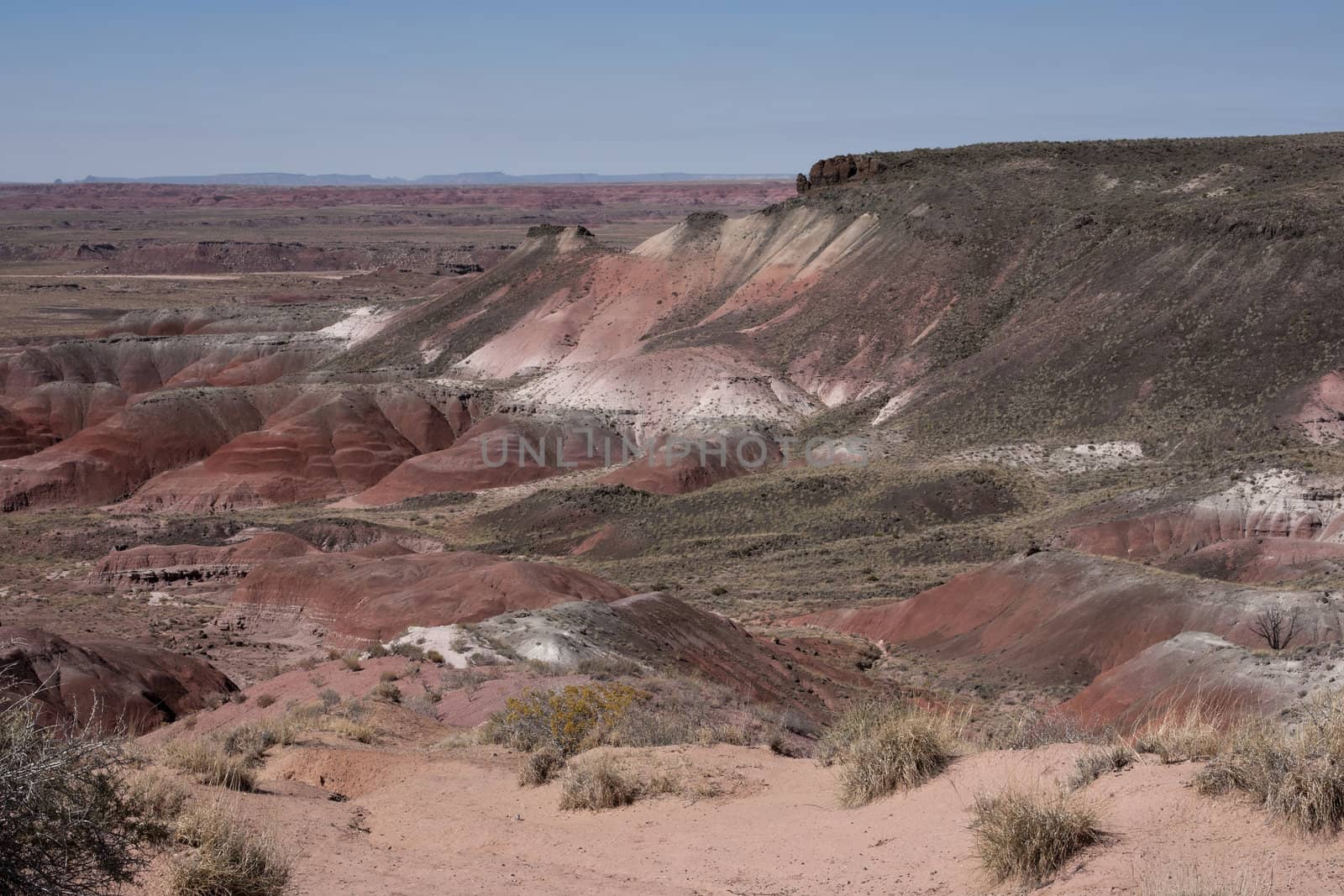 Wide view over high desert in Northern Arizona. by Claudine