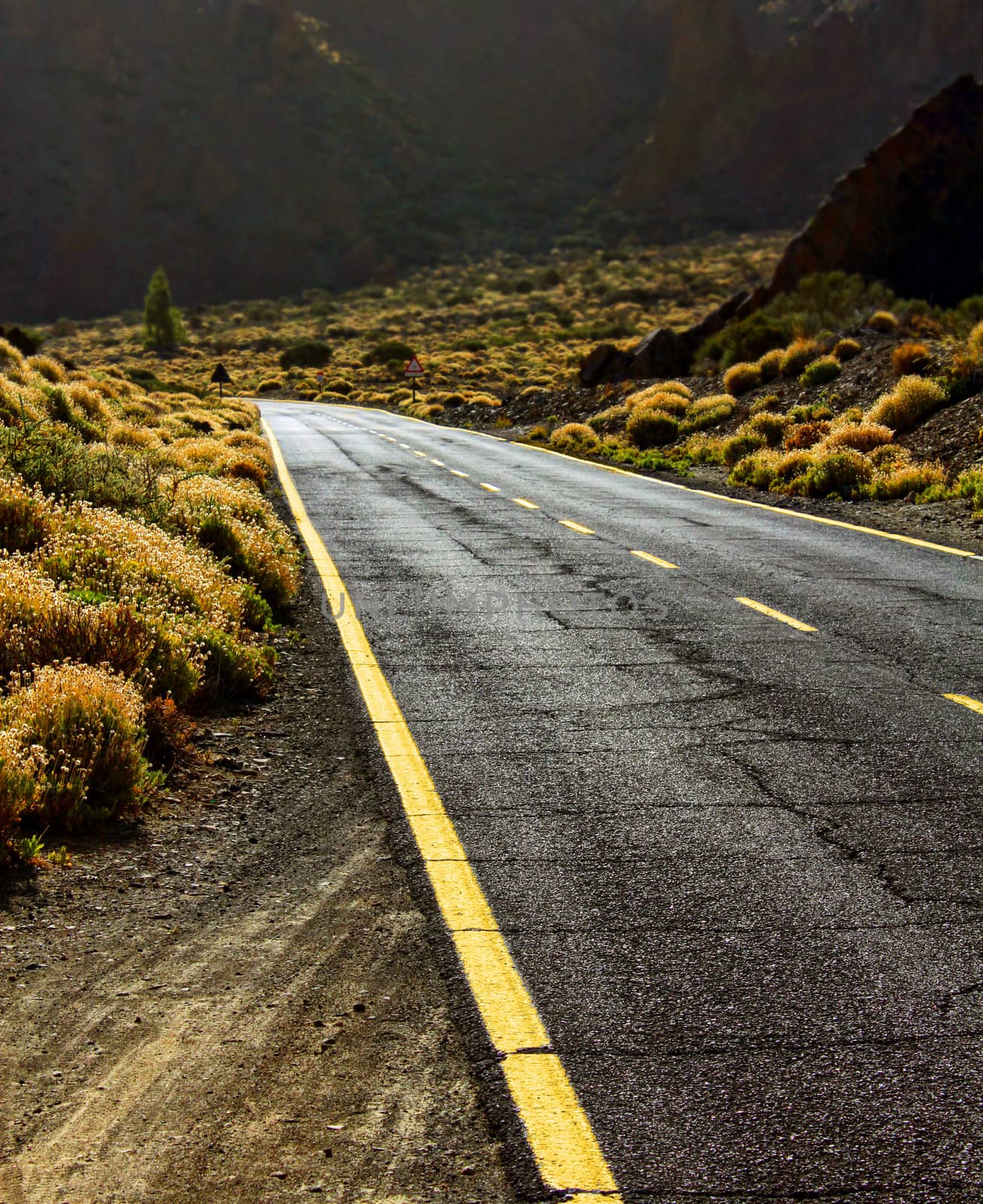 Empty asphalt road in desert perspective