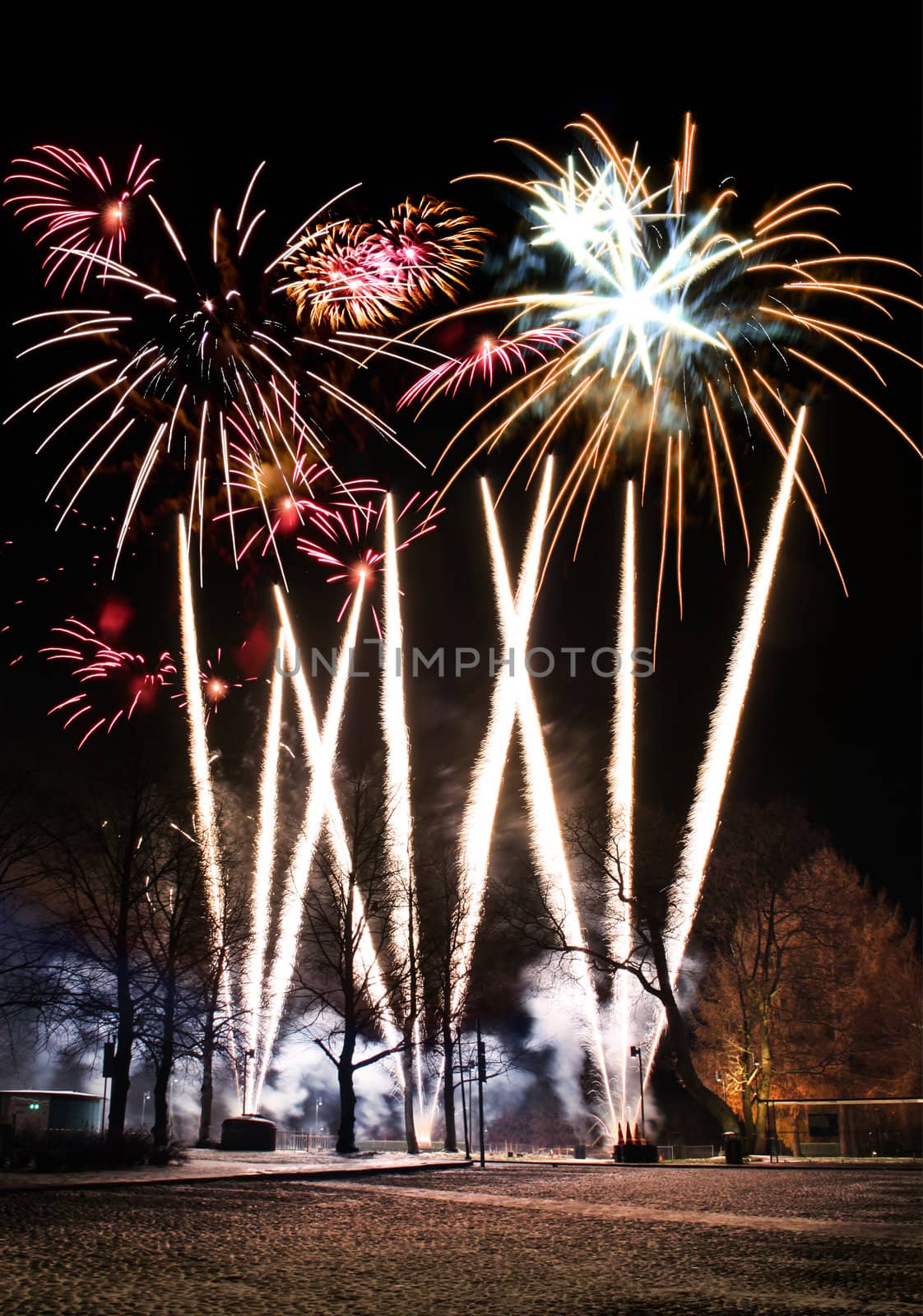 Fireworks in park by anterovium