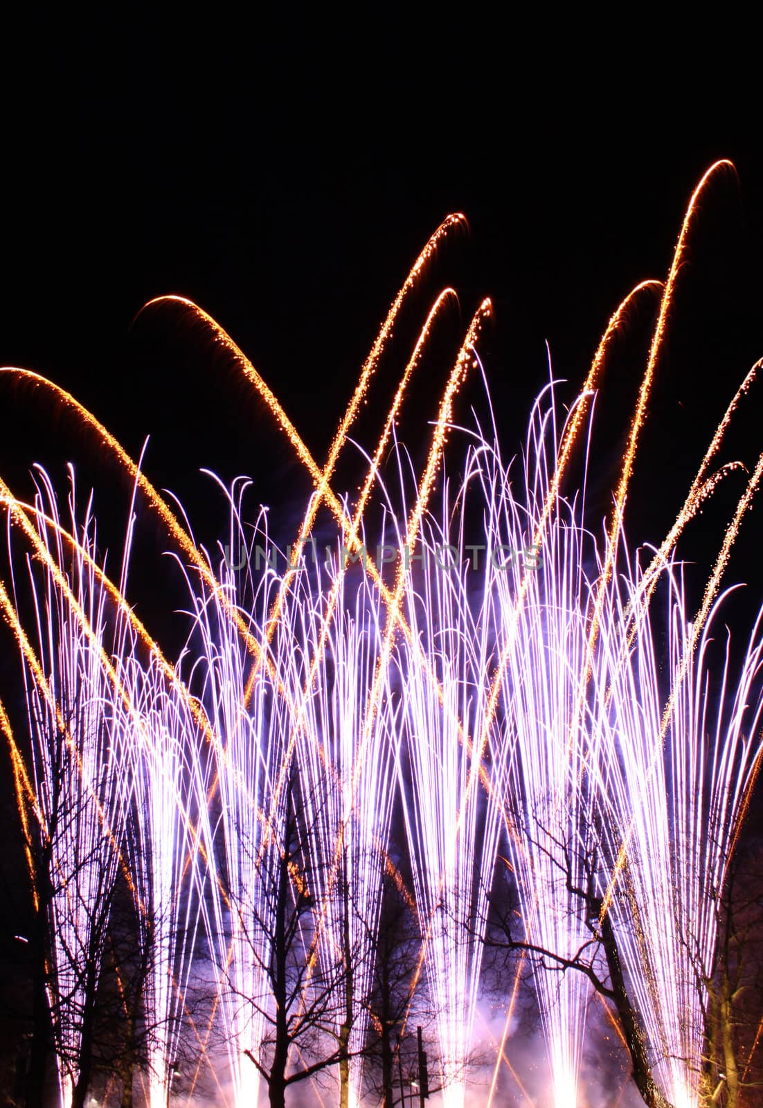Colorful fireworks display against park trees silhouette and black sky