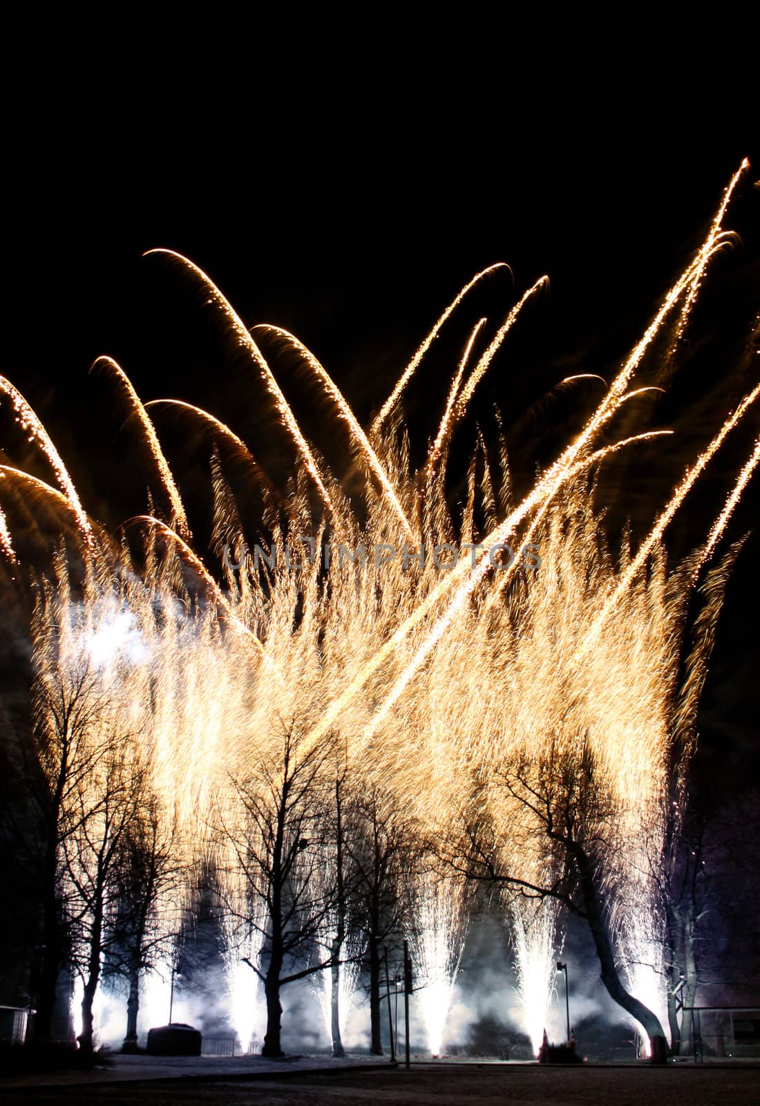 Big fireworks display against park trees silhouette