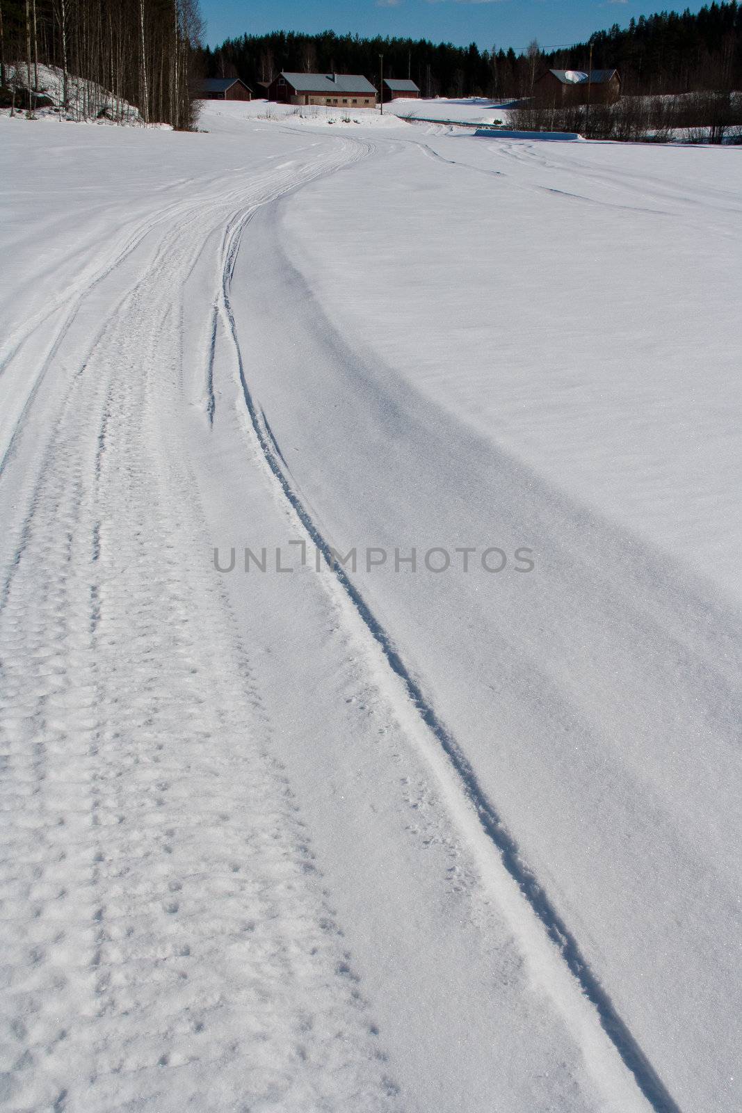 Snowmobile tracks on a winter scene