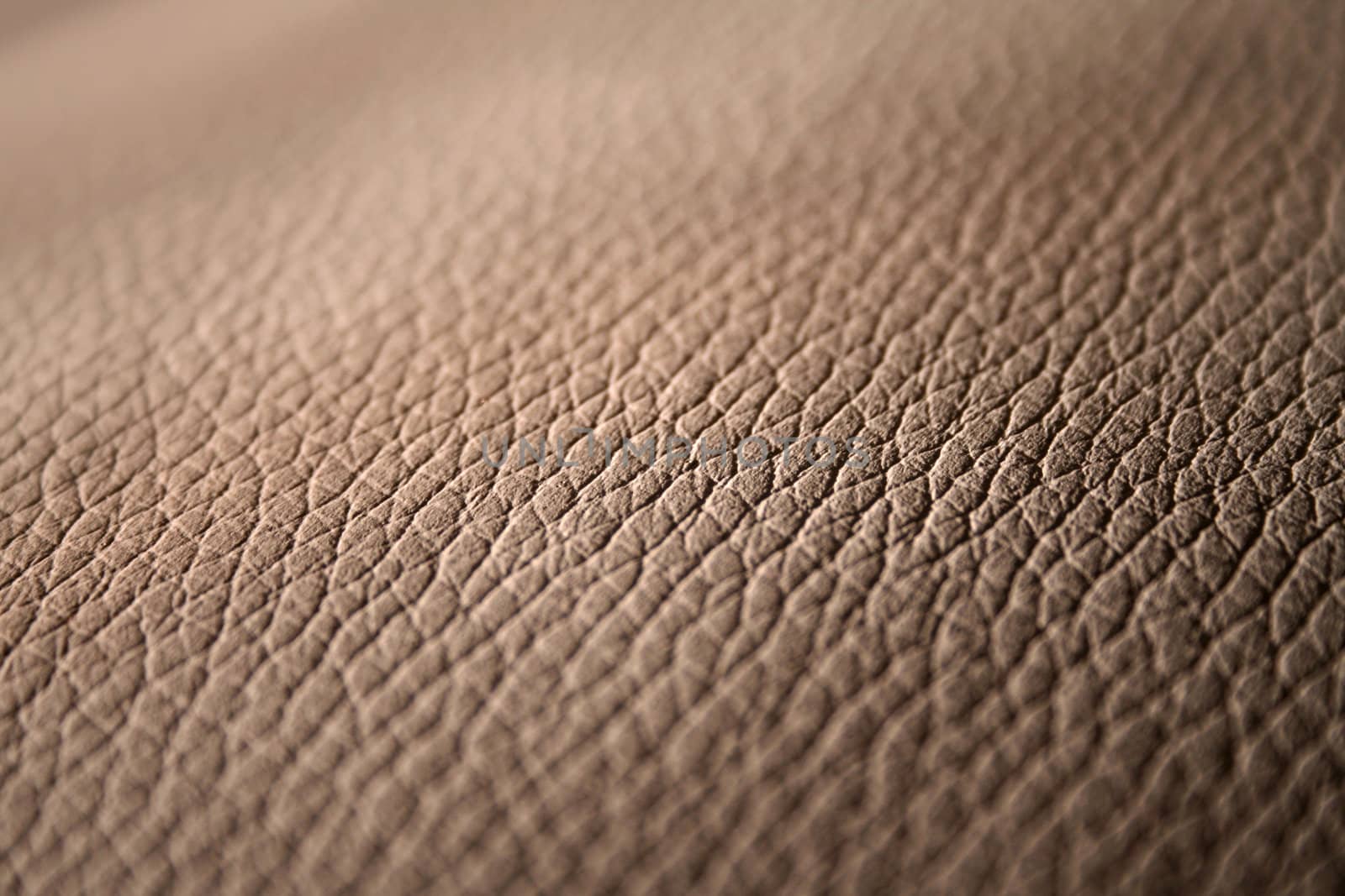 Genuine leather surface closeup background
