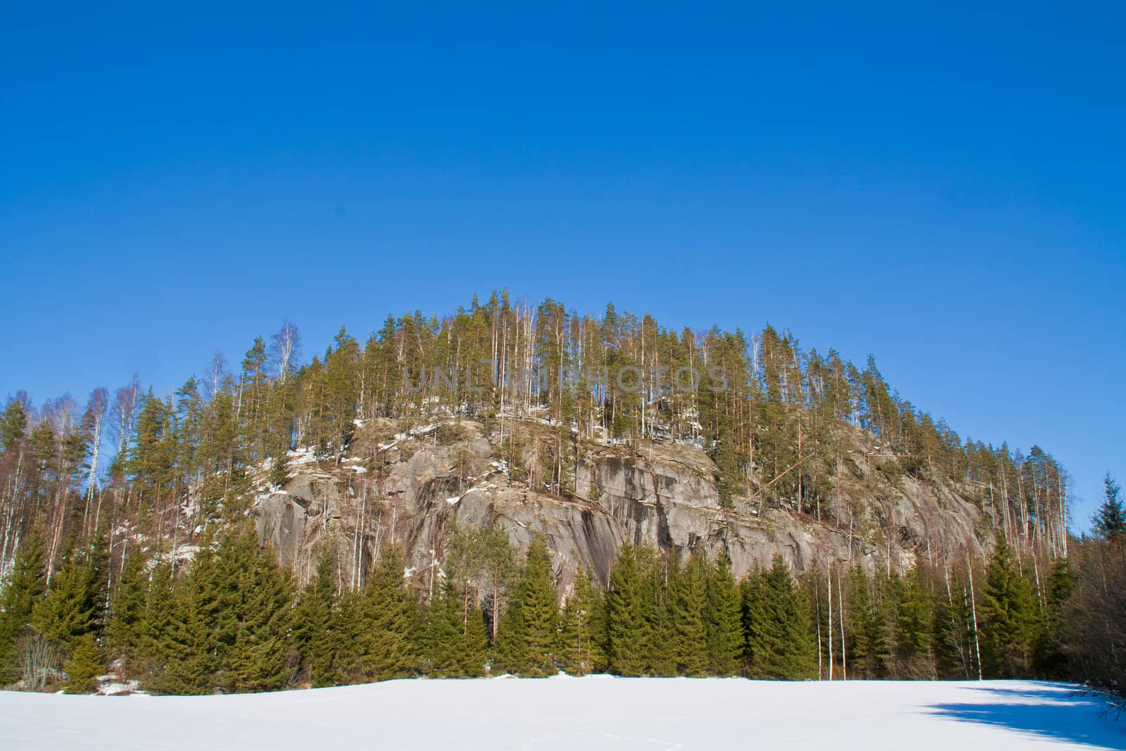 Big rock cliffs with trees
