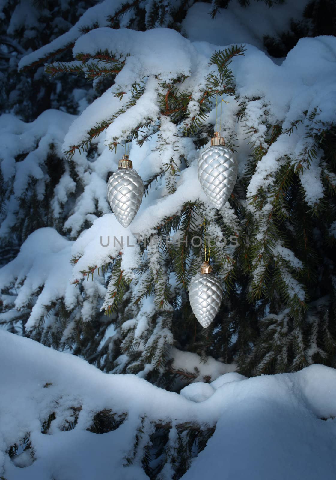 Christmas decoration silver cones hanging in snowy tree