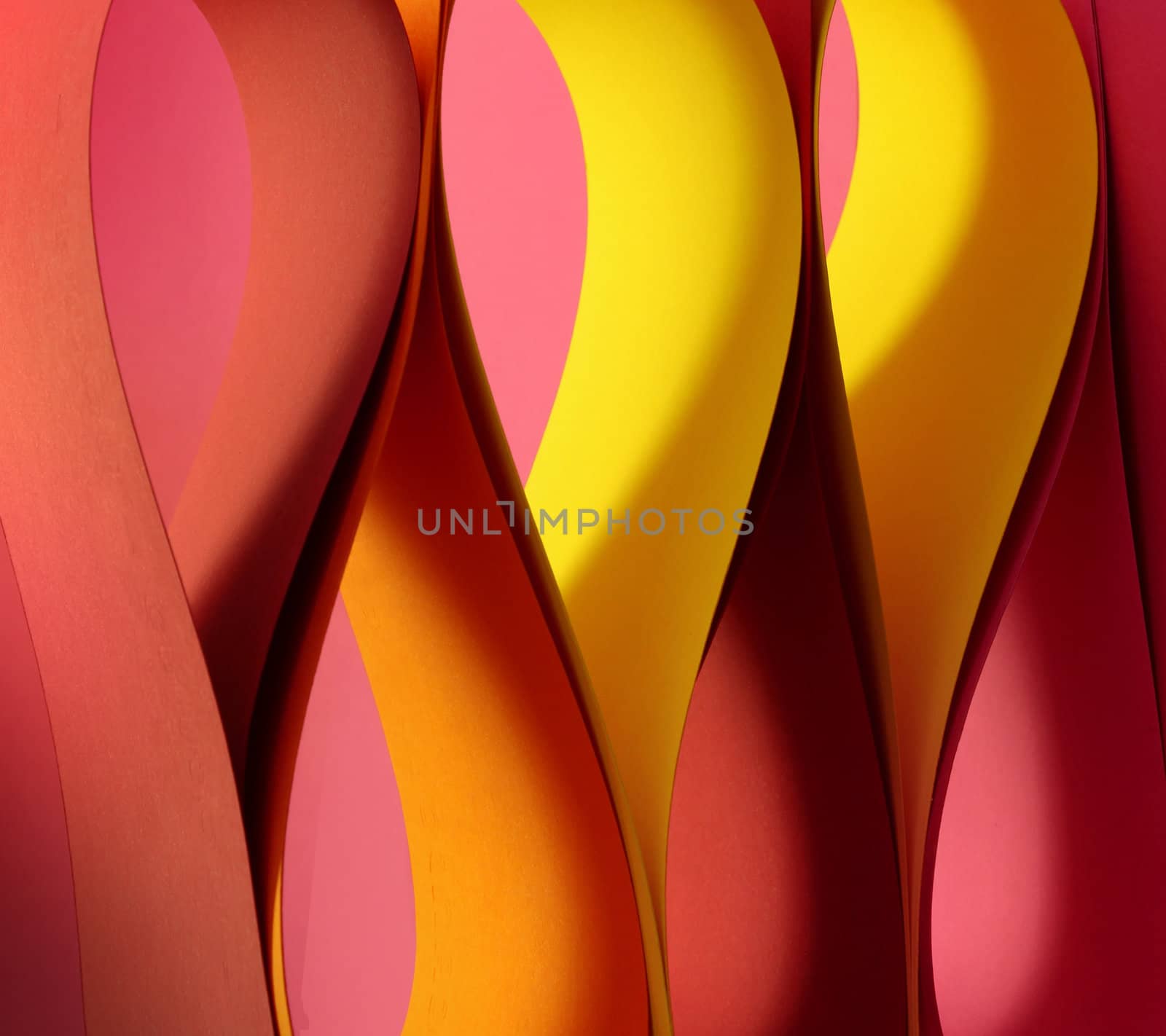 Warm colors palette tulip drop form papers