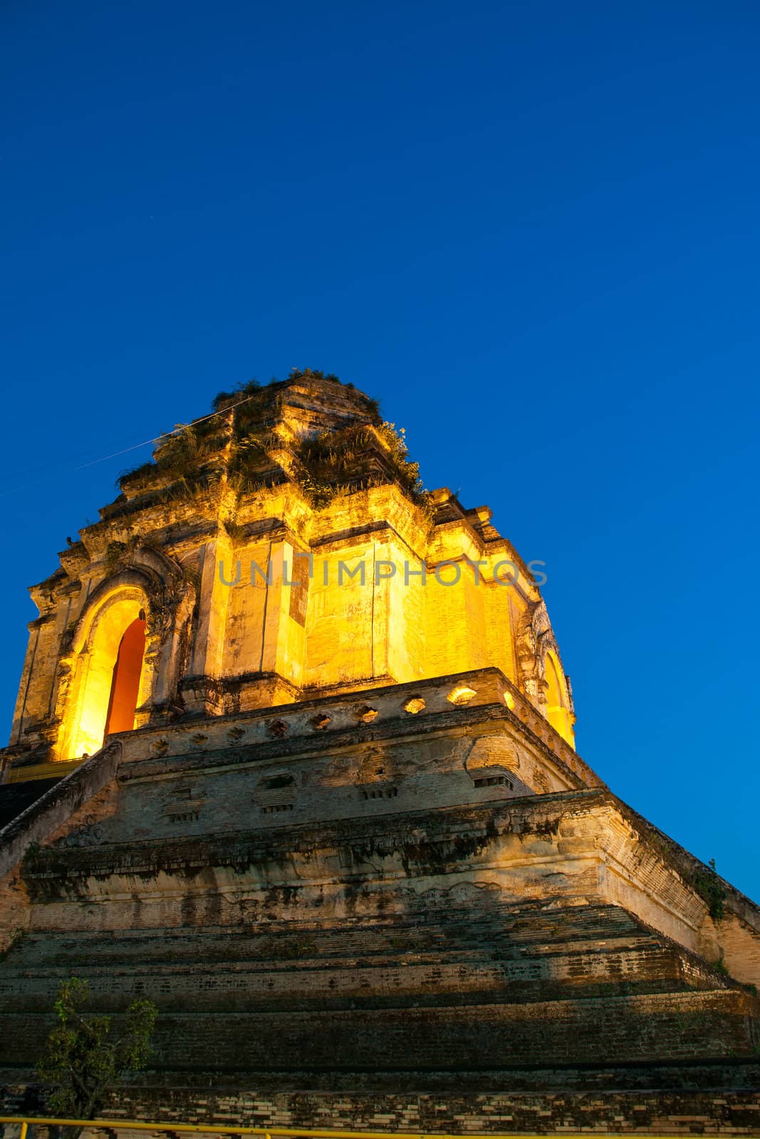 Wonderful Pagoda Wat Chedi Luang Temple by Yuri2012