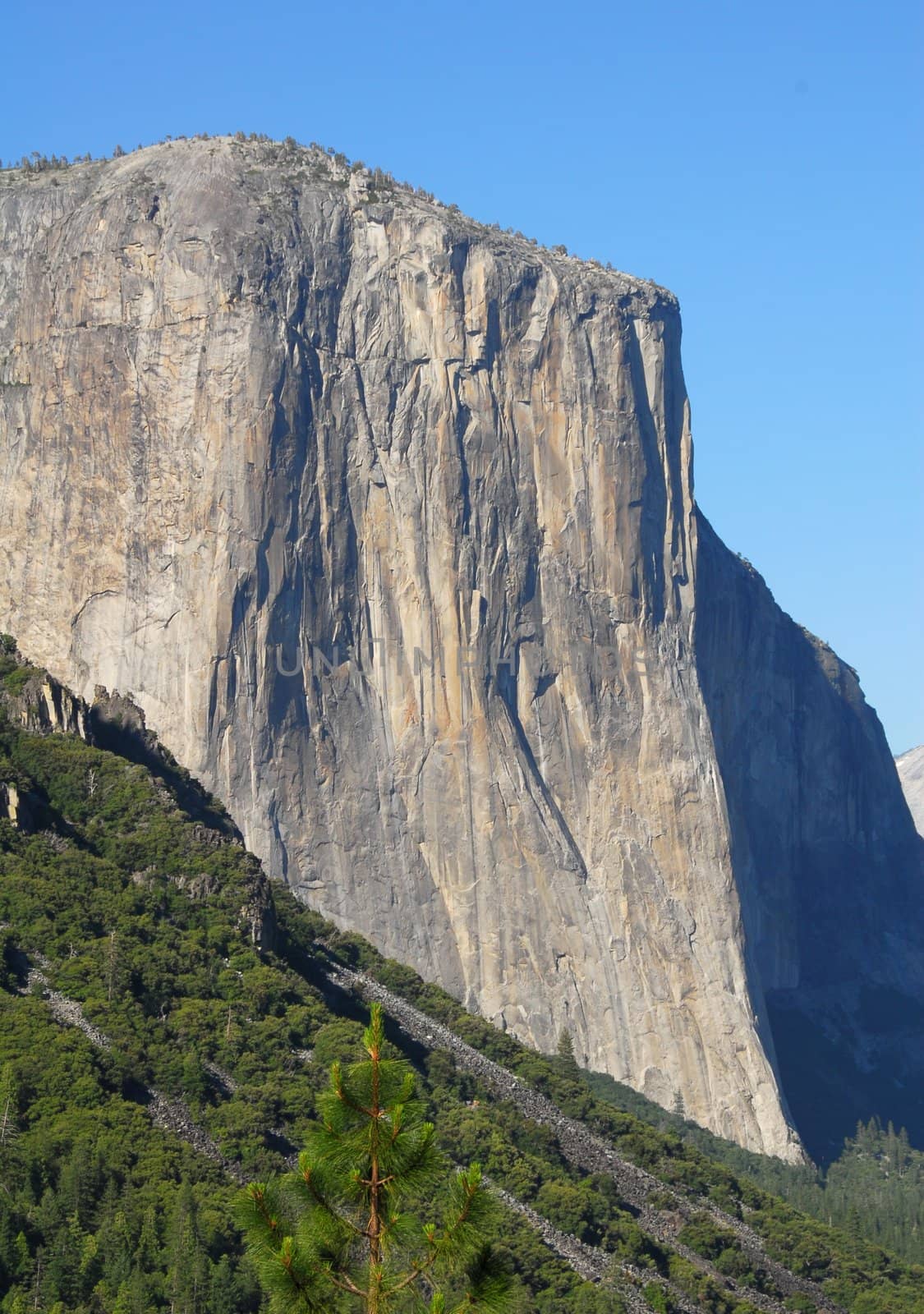 El Capitan Mountain in Yosemite National Park california
