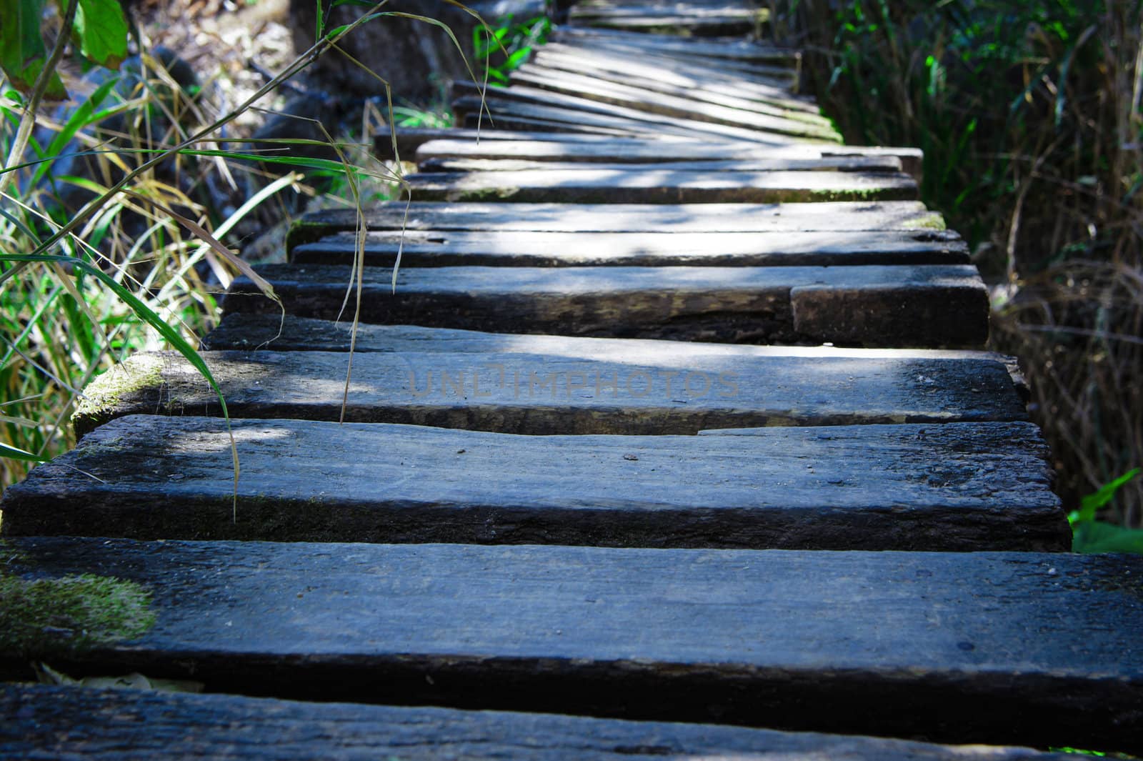 Close up view of an old twisted wooden bridge.