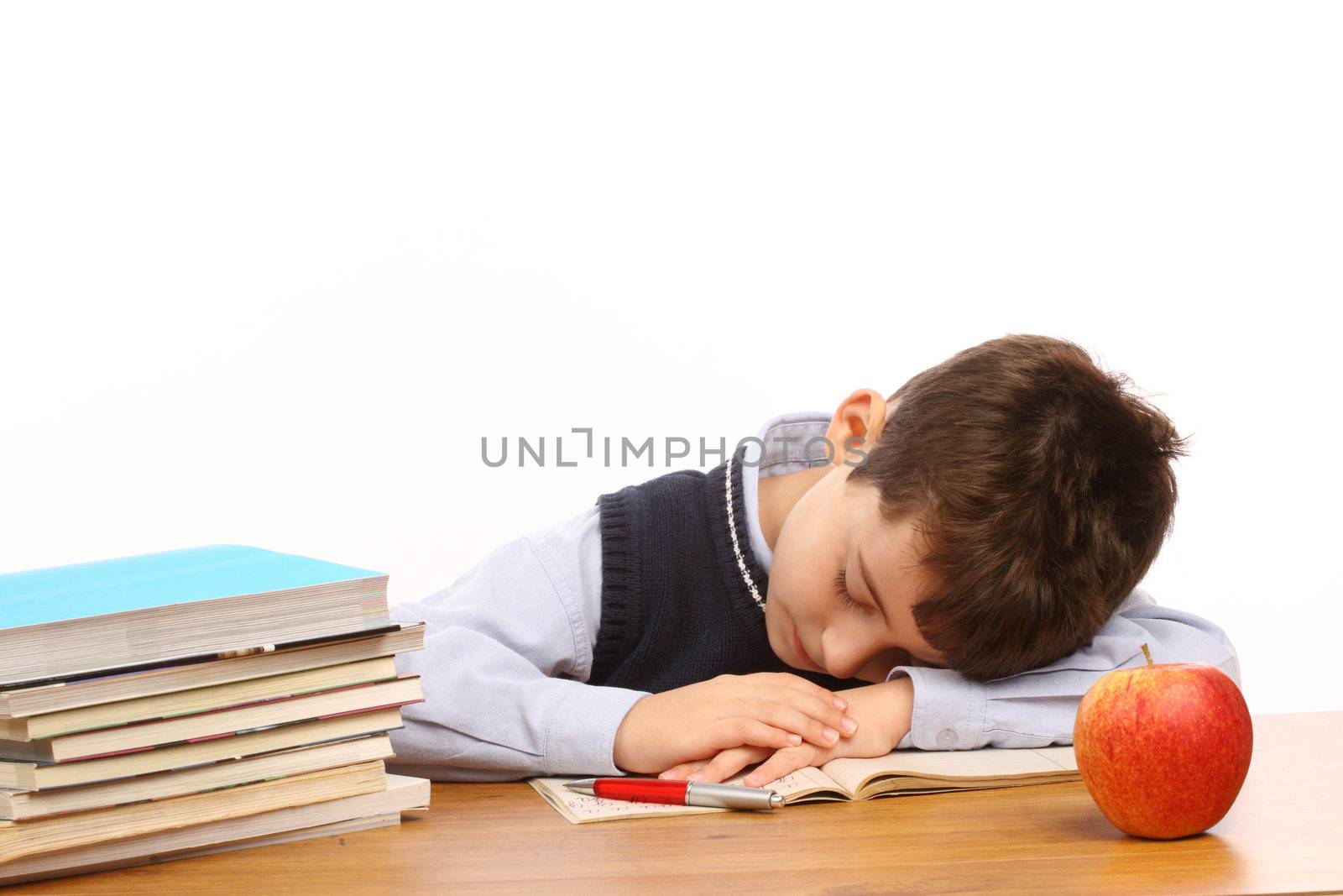 Small student asleep over homework