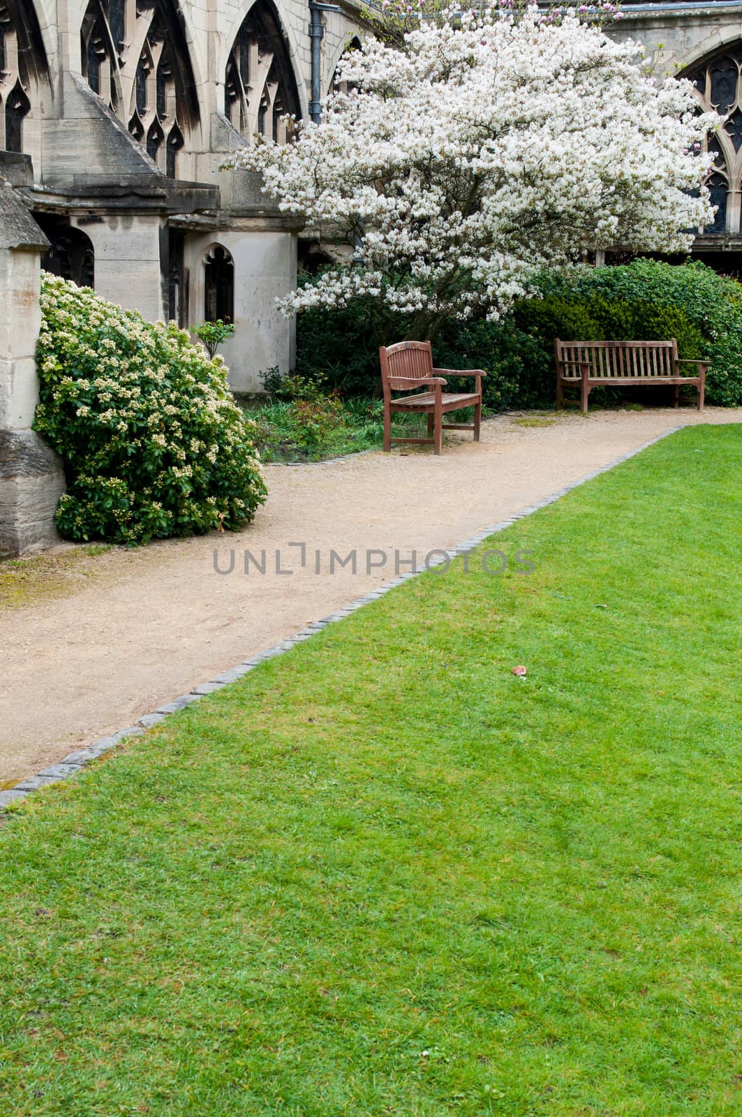 exterior garden with benchs inside the famous Gloucester Cathedral, England (United Kingdom) 