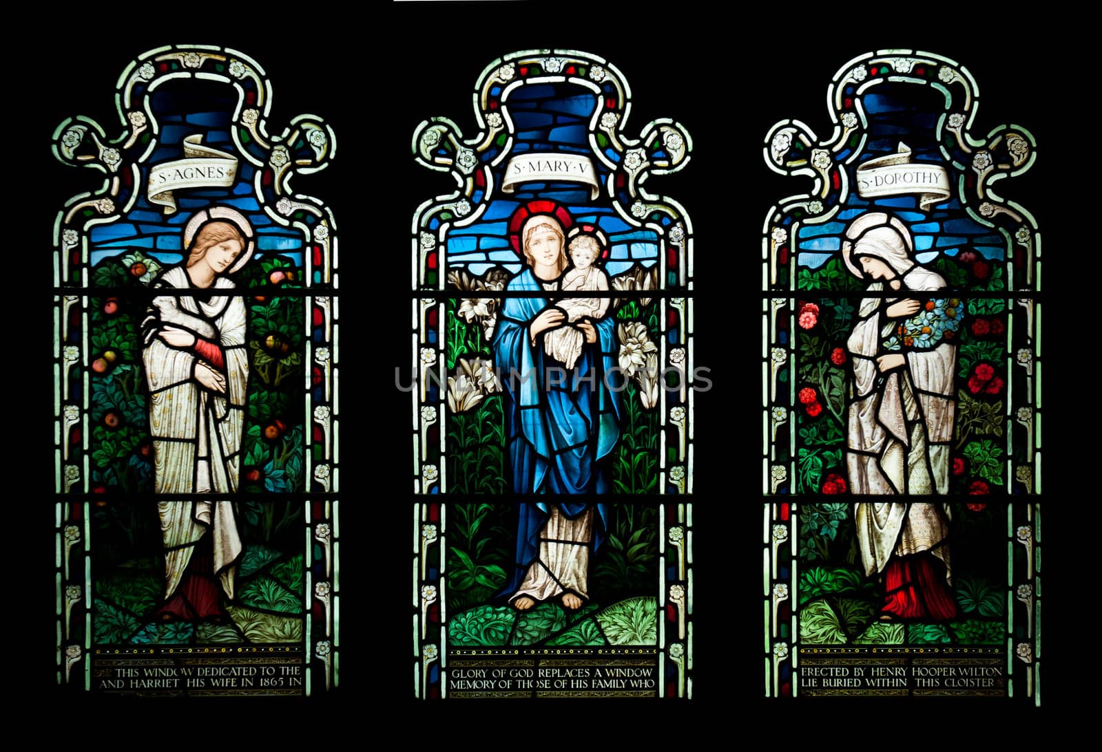 collection of stained glass window from Gloucester Cathedral, England (United Kingdom)