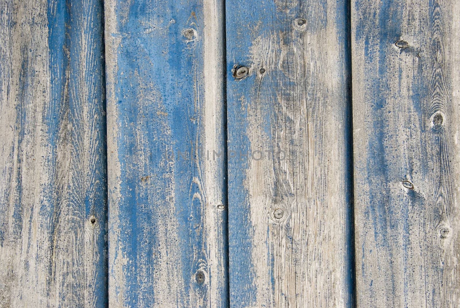 Old blue painted planks on side of hive