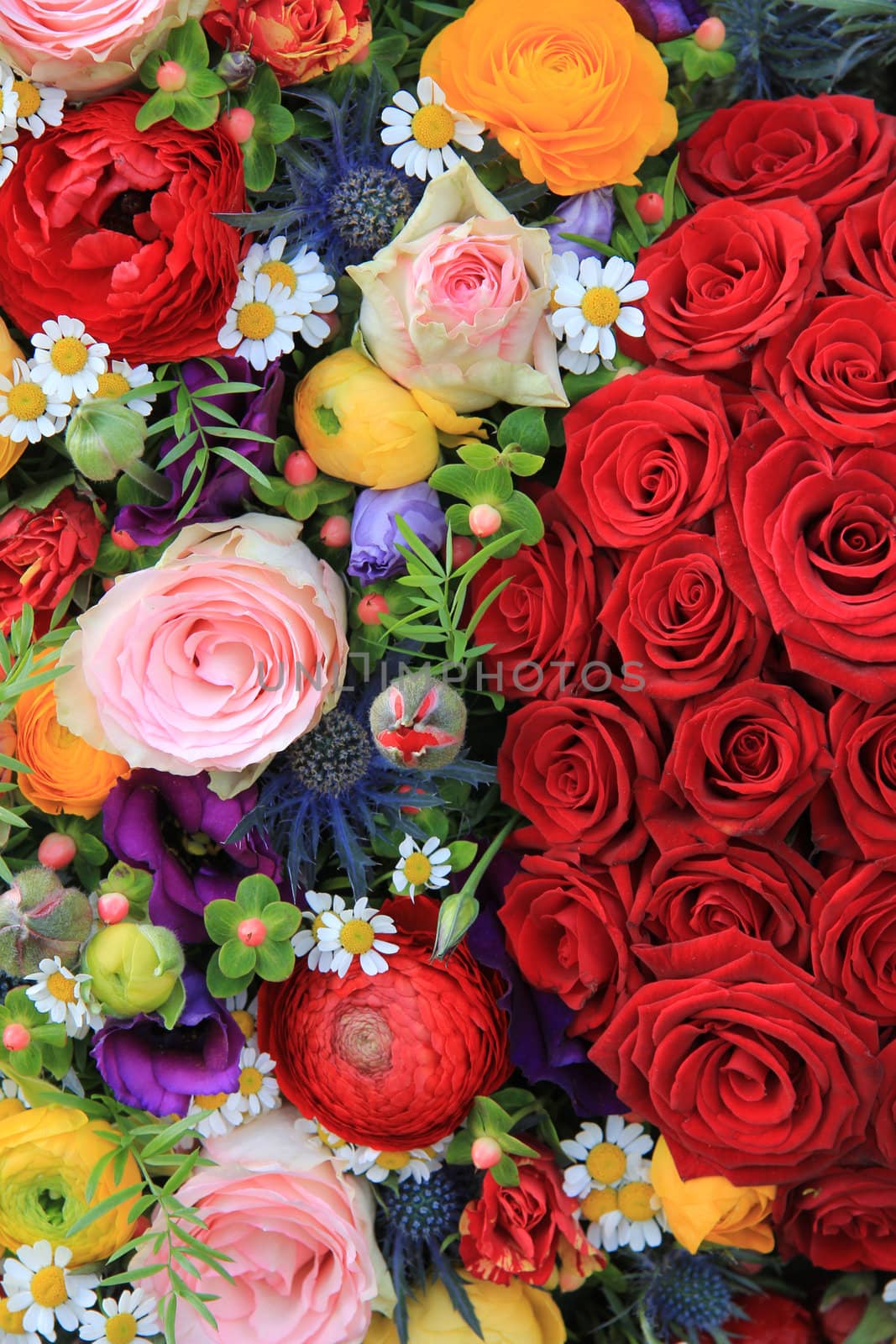 Summer flower arrangement in many bright colors