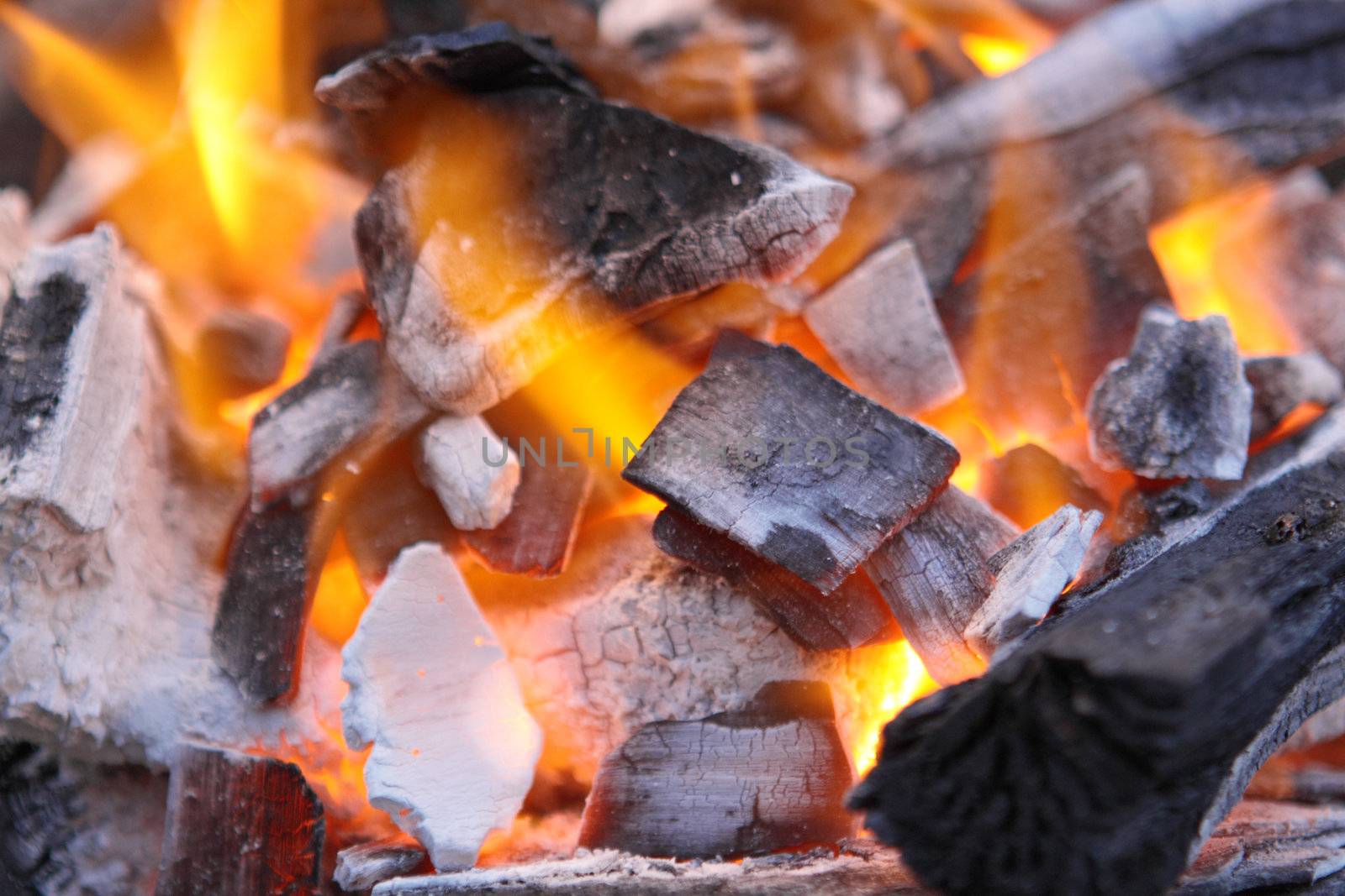 Decaying red coals of a tree in a fire 