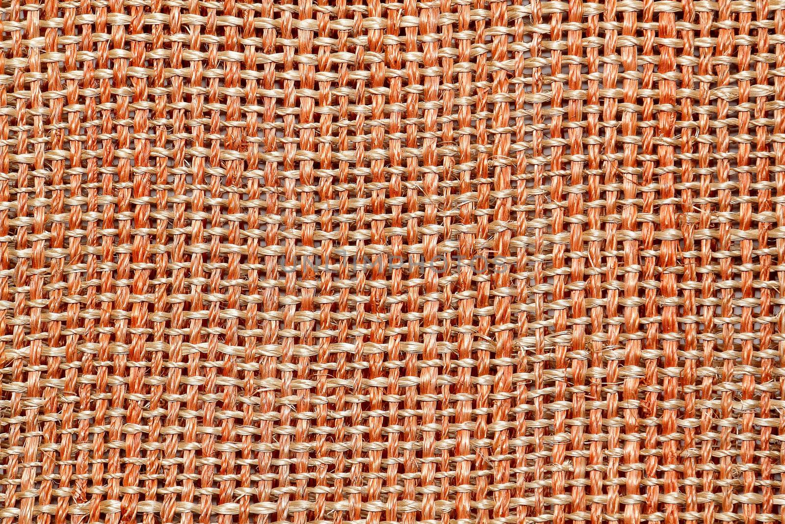 Bamboo texture 