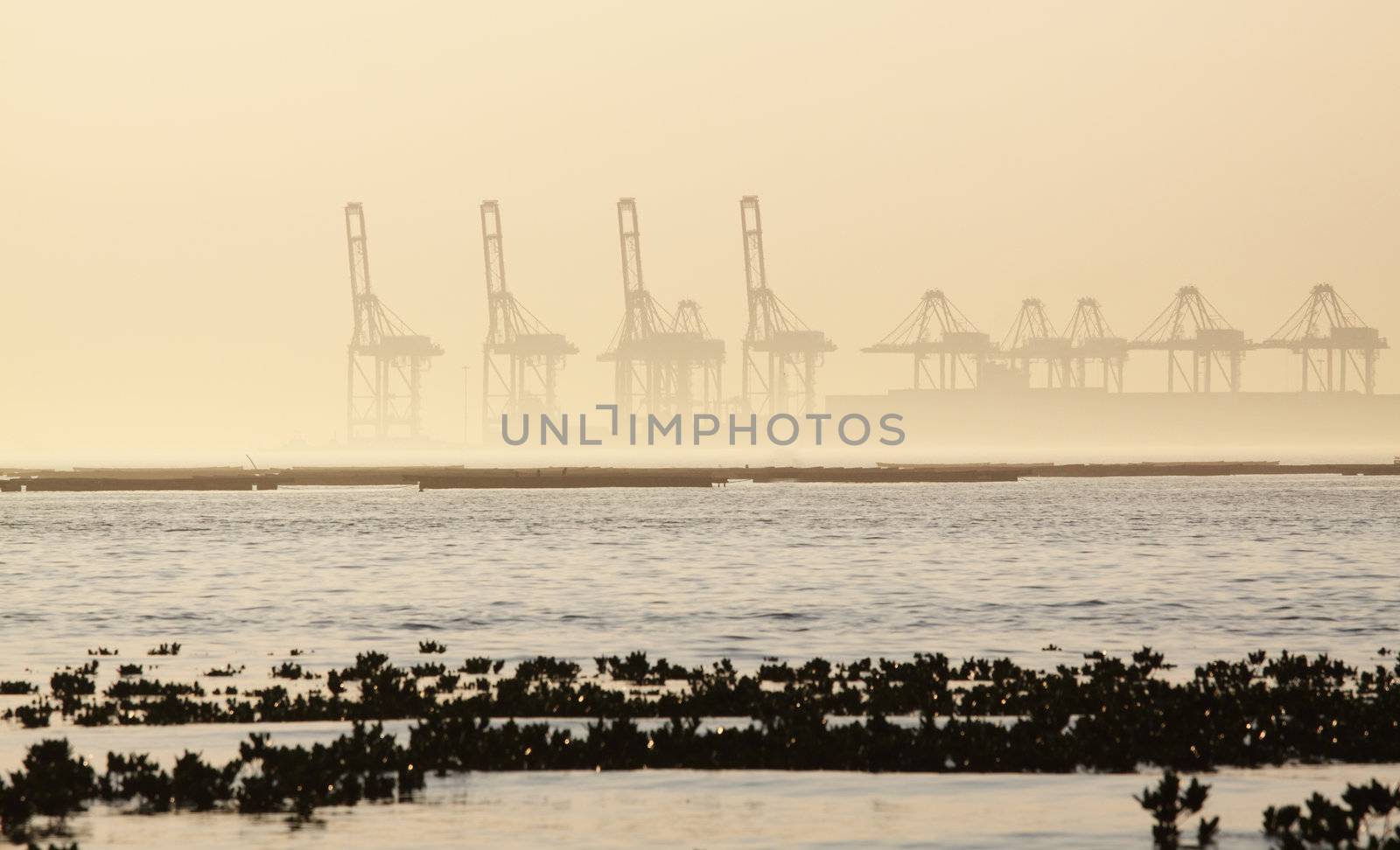 container cranes on a foggy morning