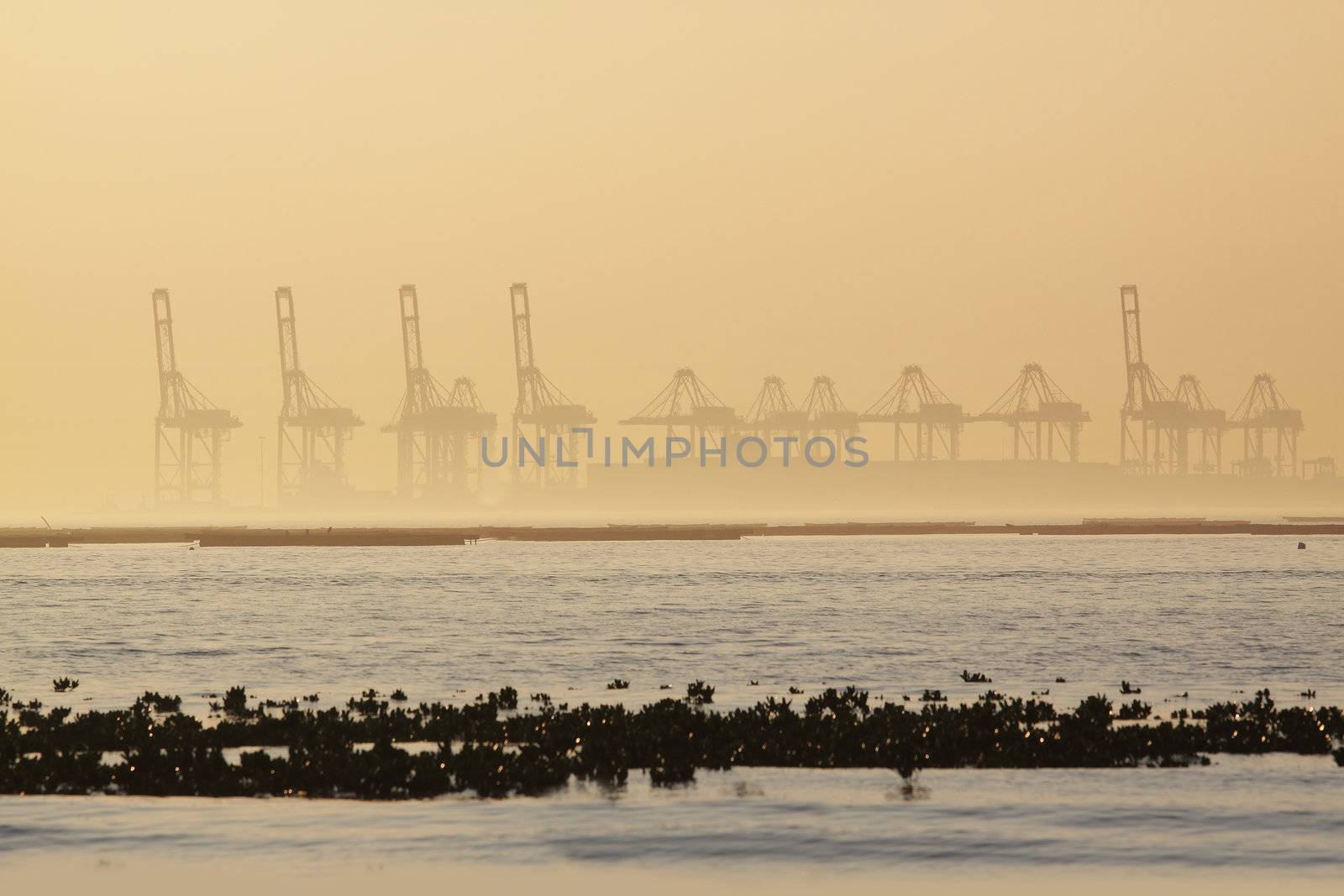 container cranes on a foggy morning