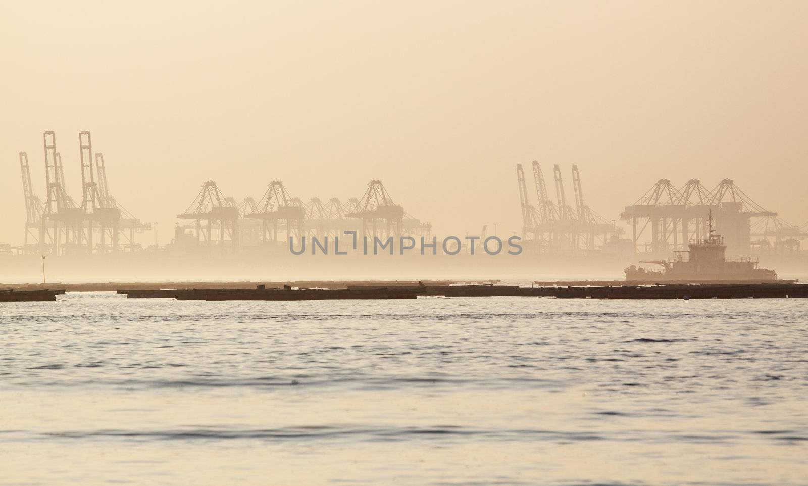 container cranes on a foggy morning