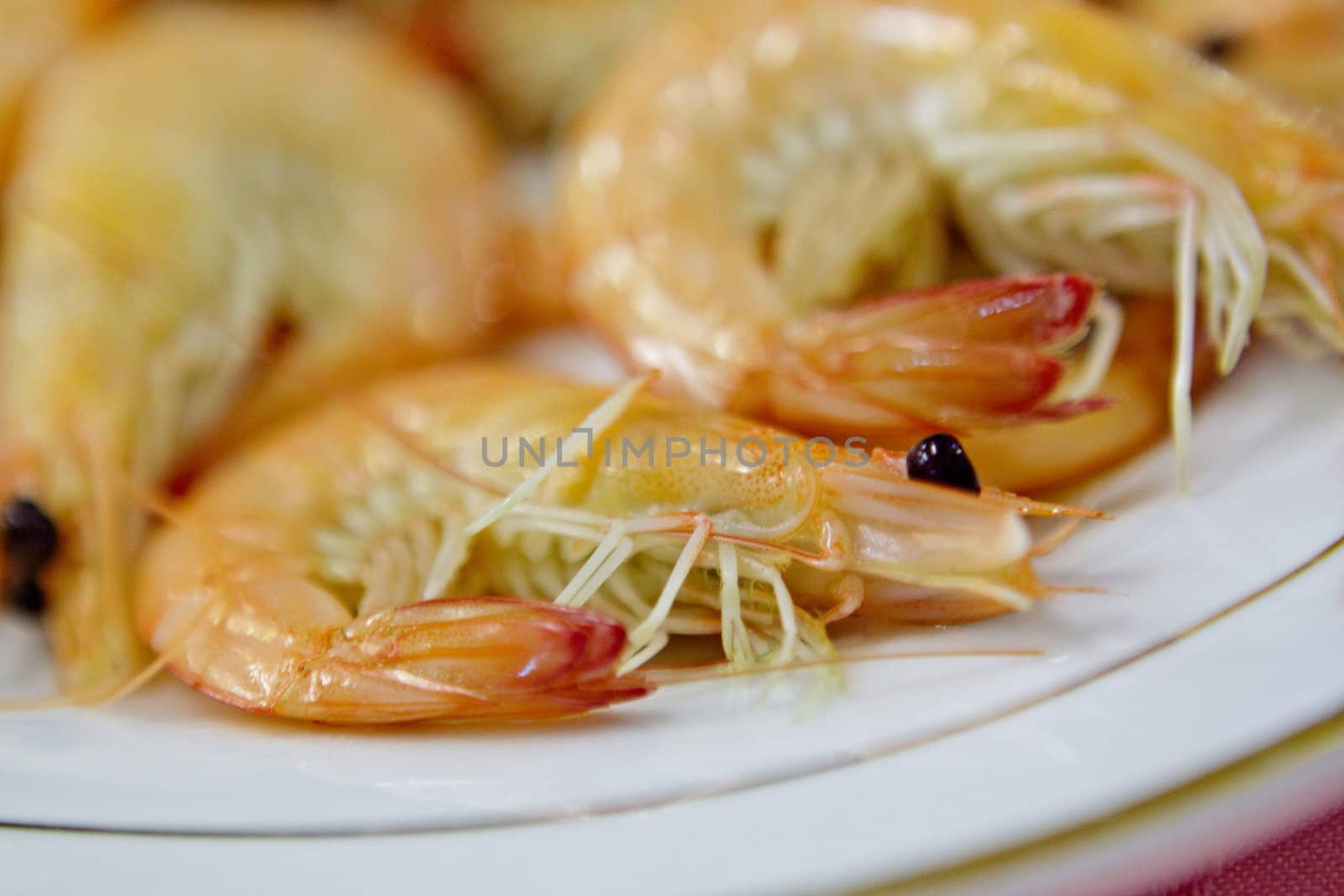 Freshly cooked prawns on dish