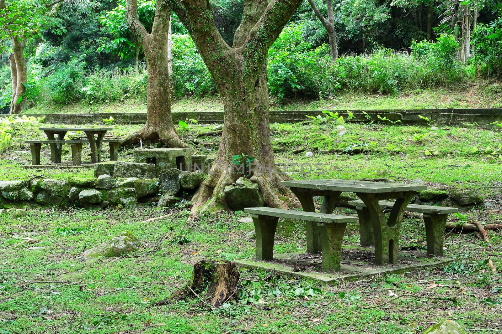 Picnic place in forest