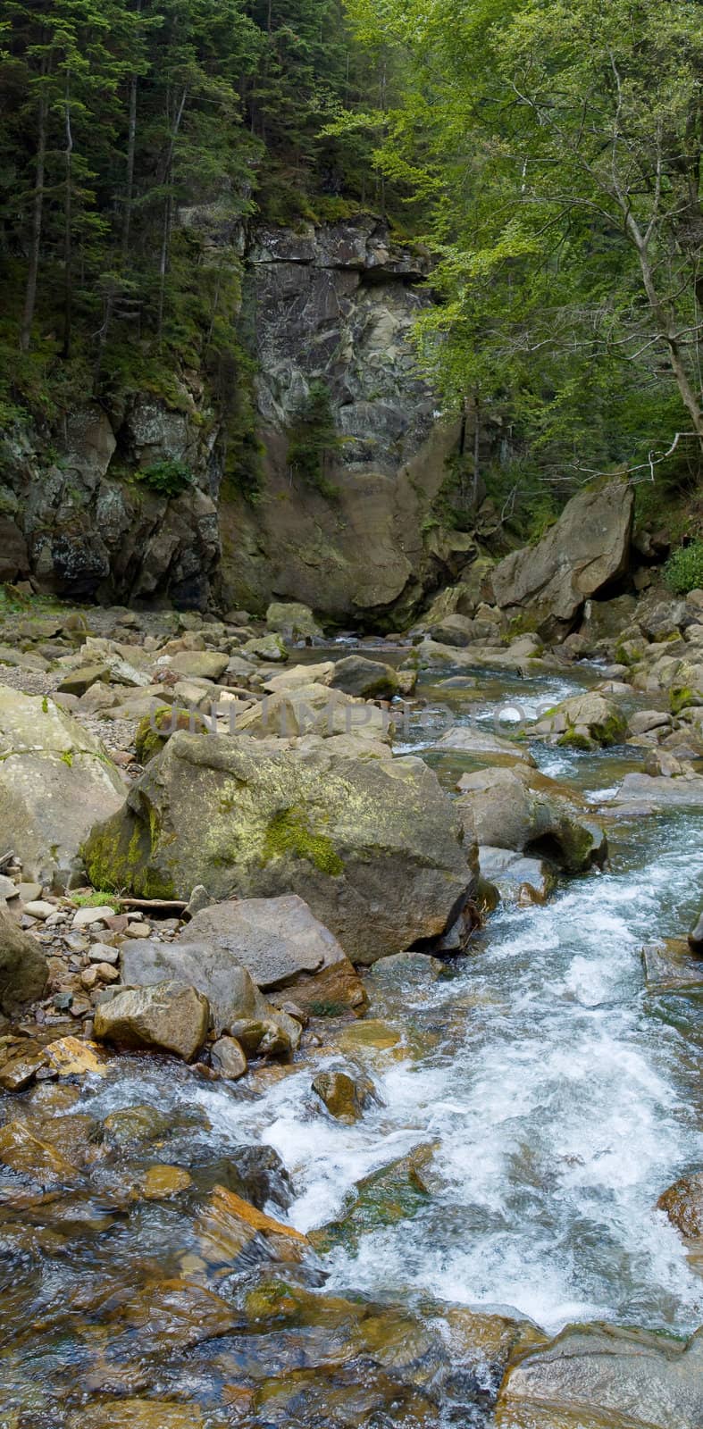 Vertical oriented panorama of mountain river
