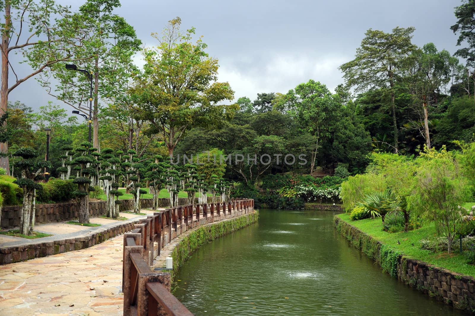 Park with river and decorative trees