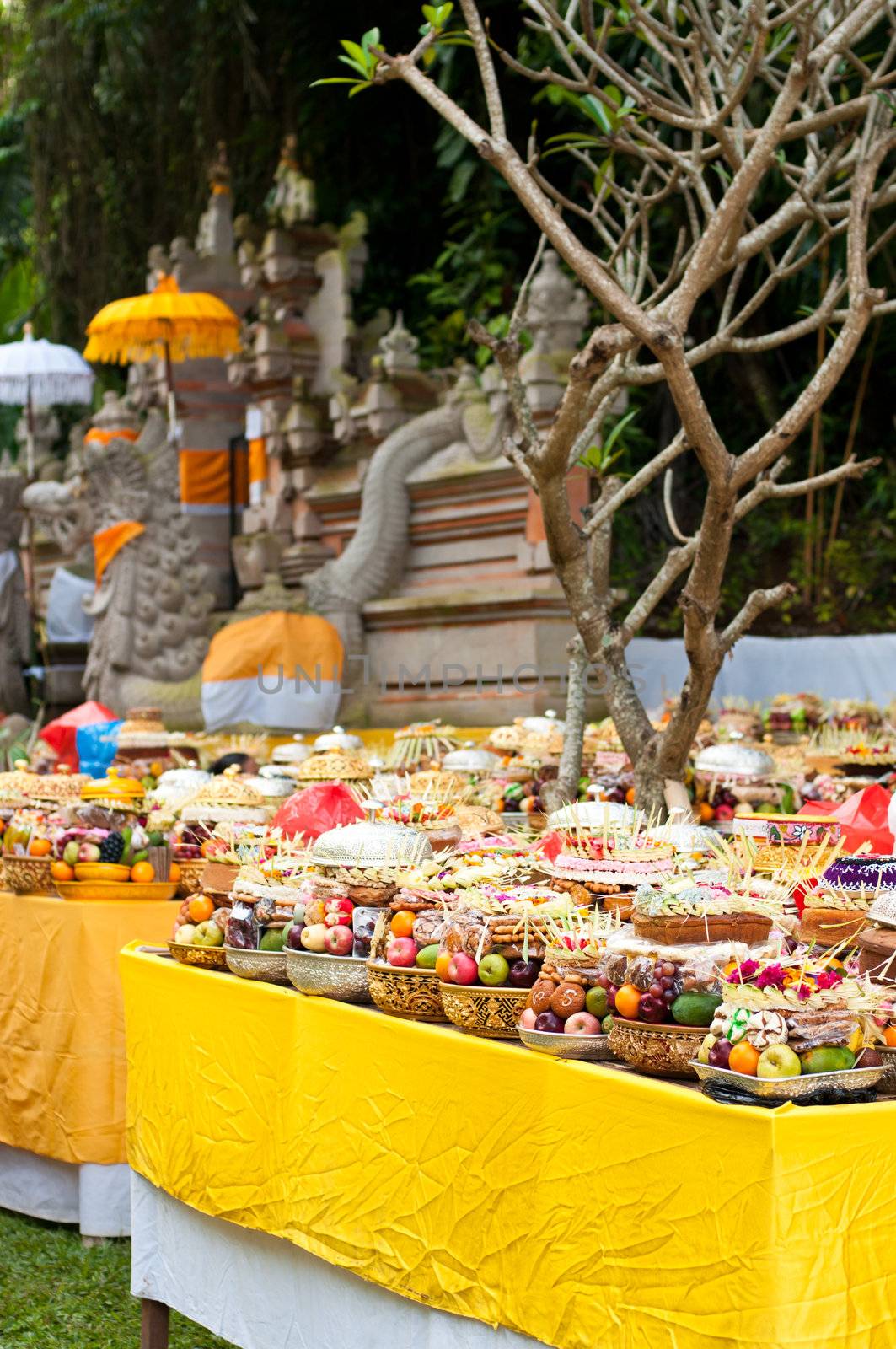 Offering in Bali Hindu temple by nvelichko