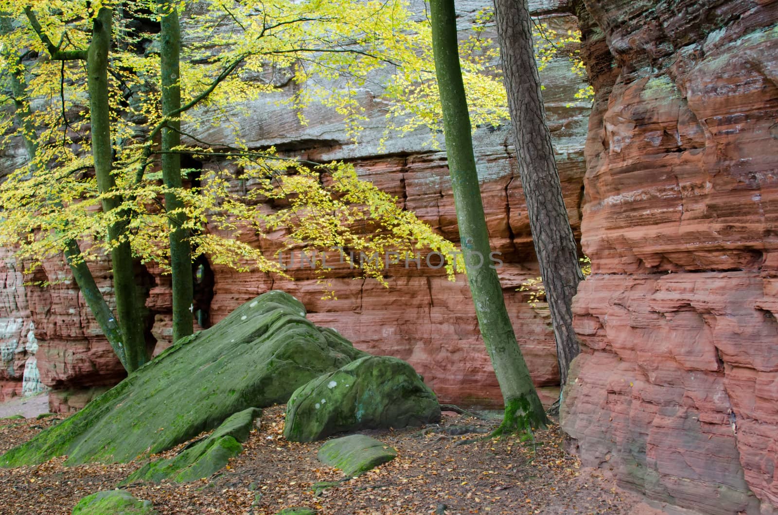 sandstone cliffs