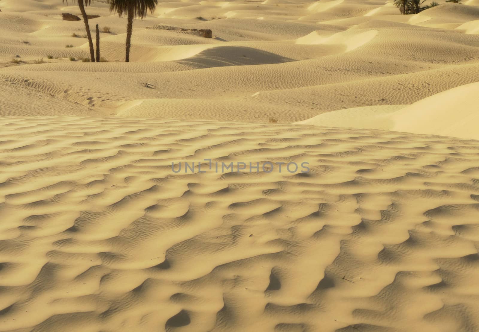 sand in the desert by njaj