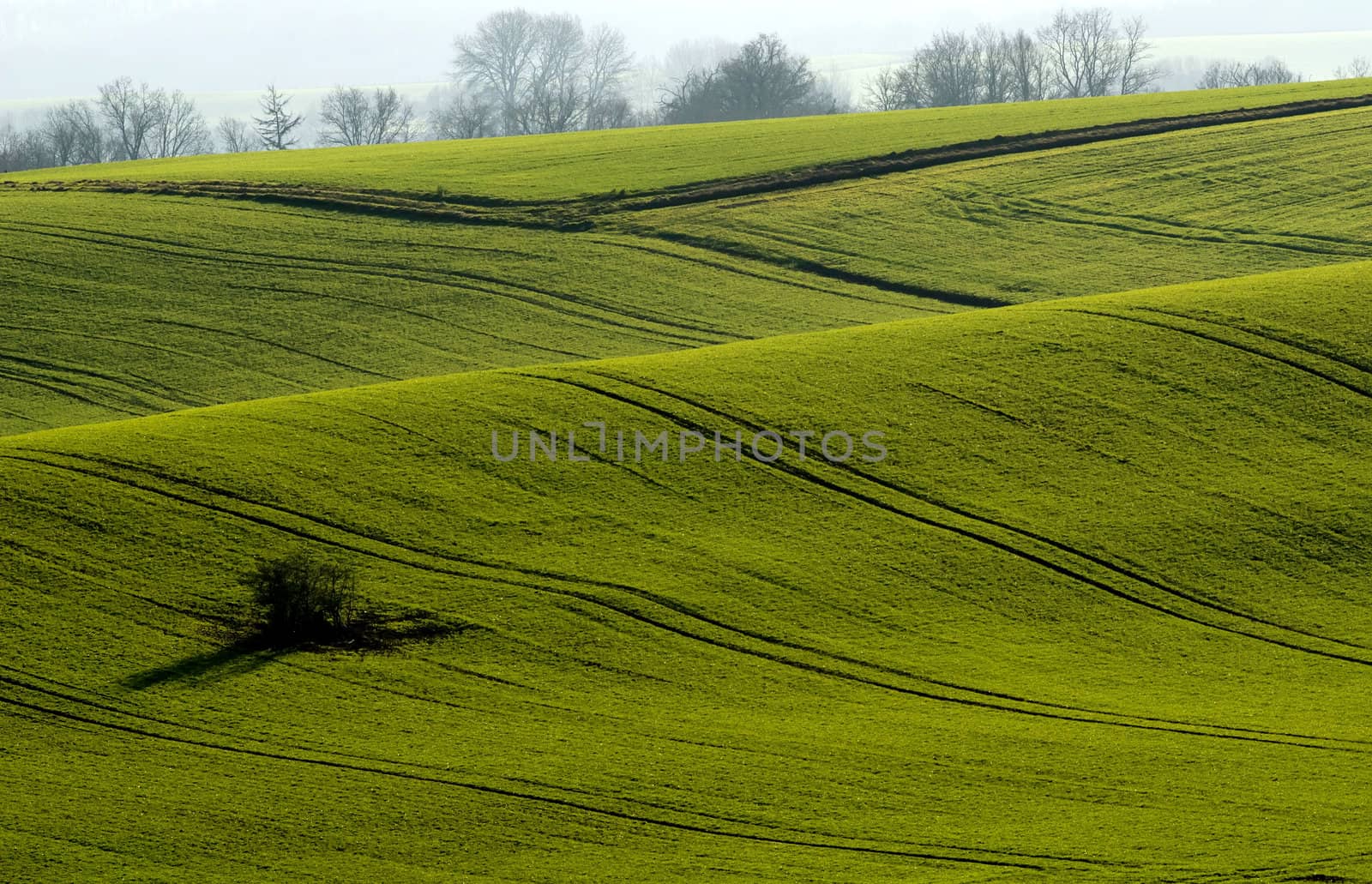 the green fields by njaj