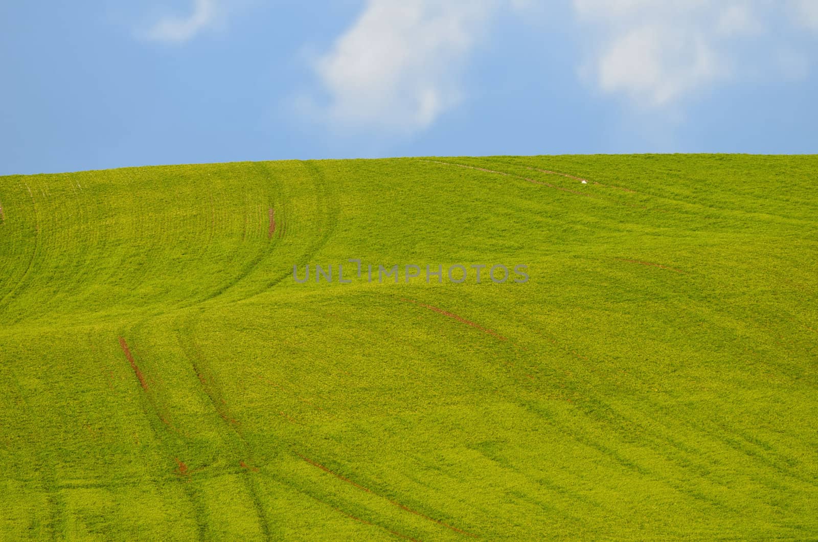 the green field by njaj