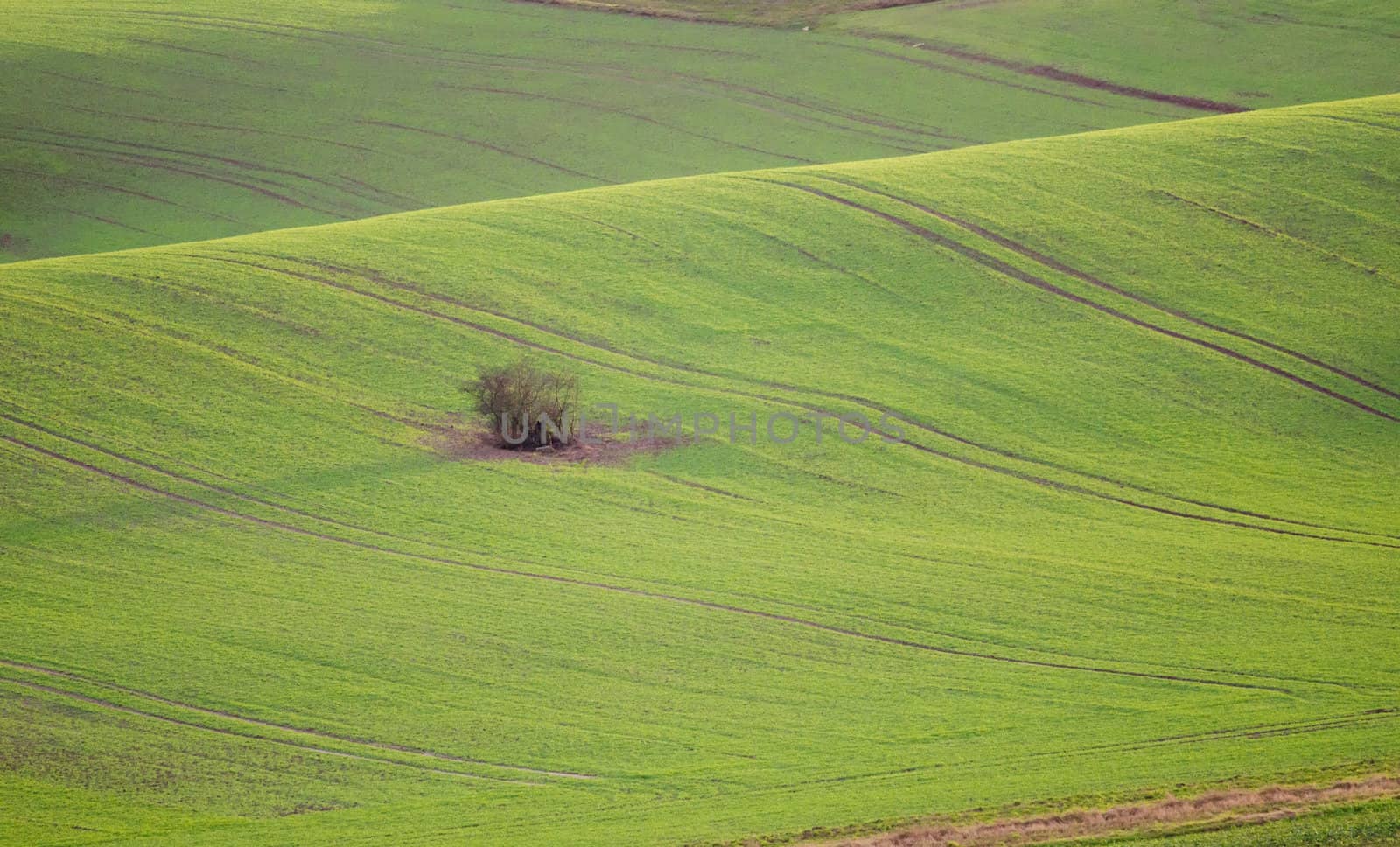 the green field by njaj