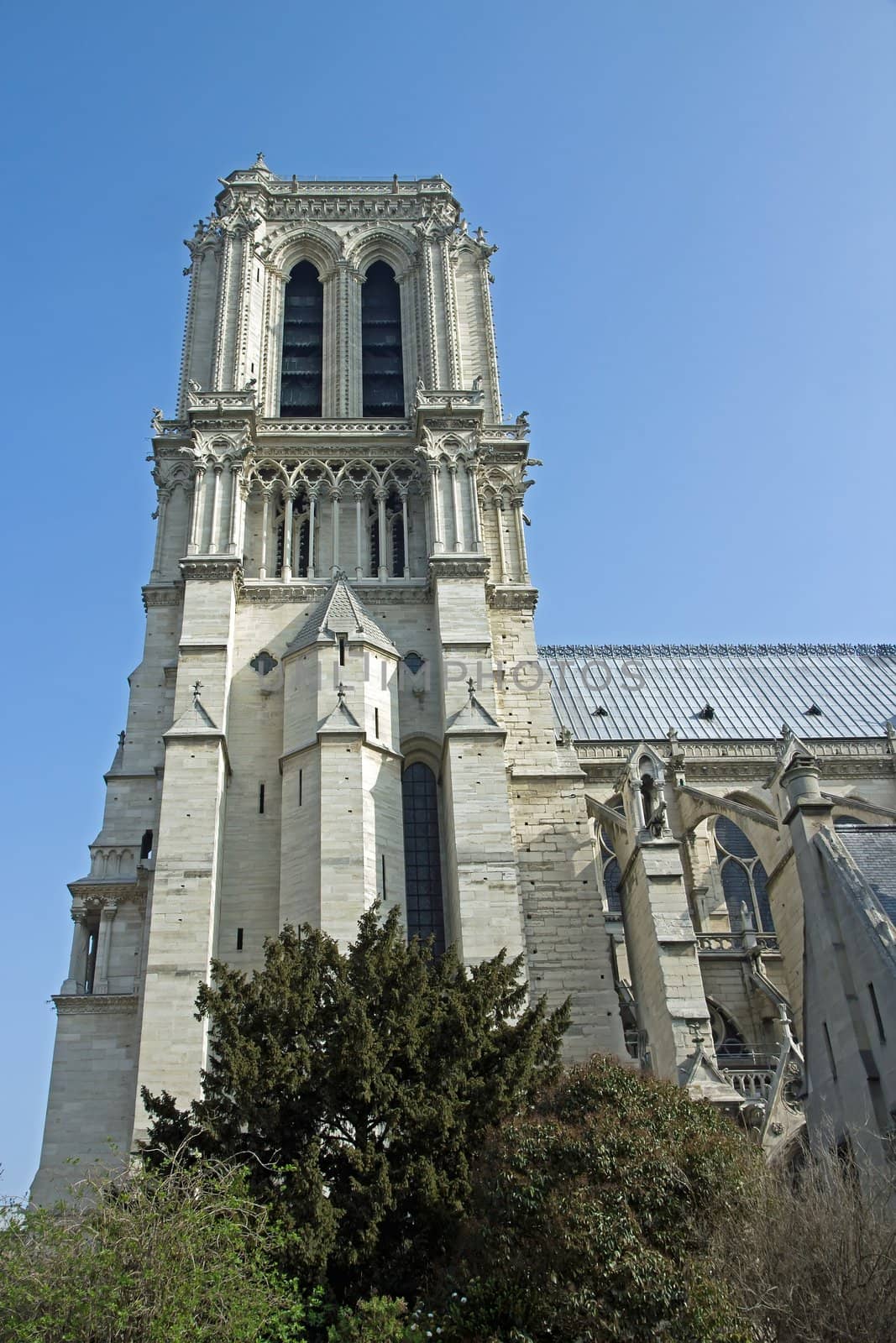 Notre-Dame de Paris, the north face three buttresses  Paris France