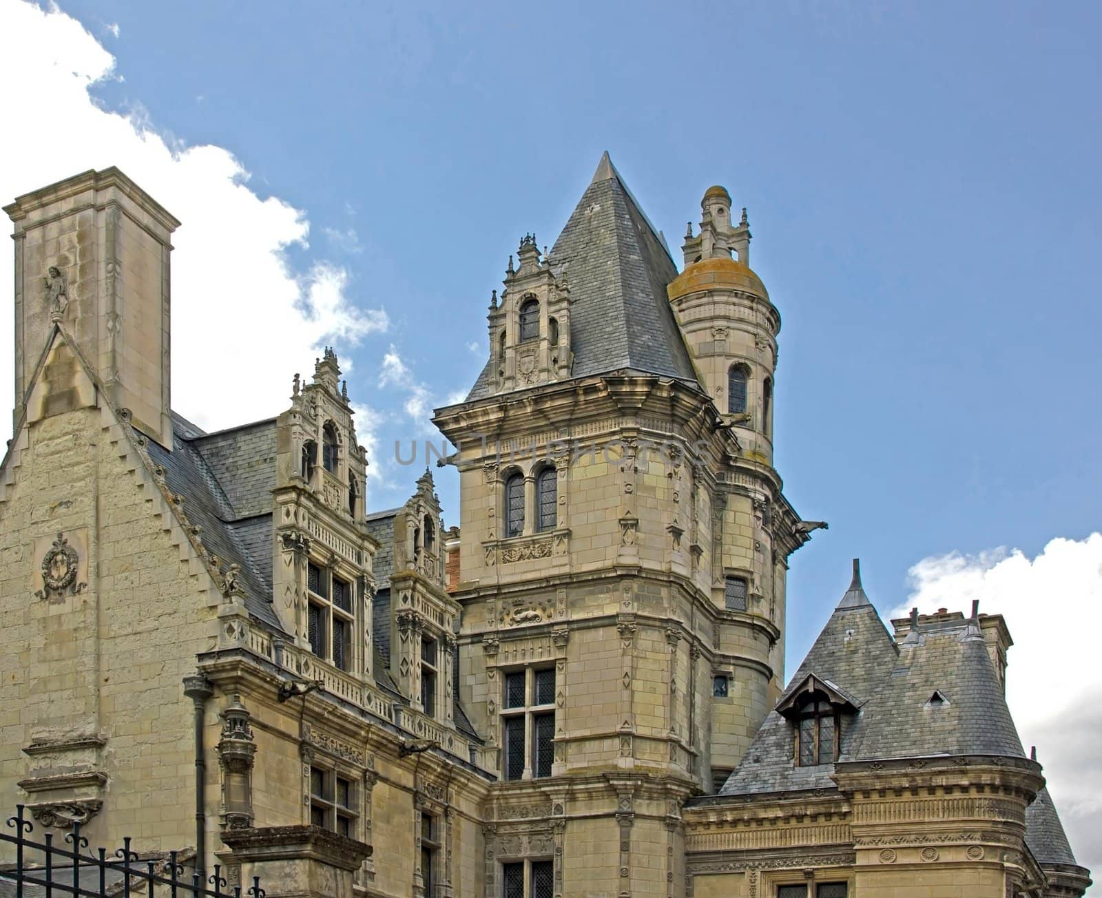 hotel pincé, museum of Angers  sixteenth century by J Delspine  Maine et Loire France