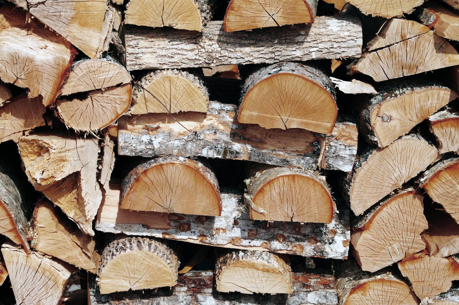 Fire wood stacked to dry 