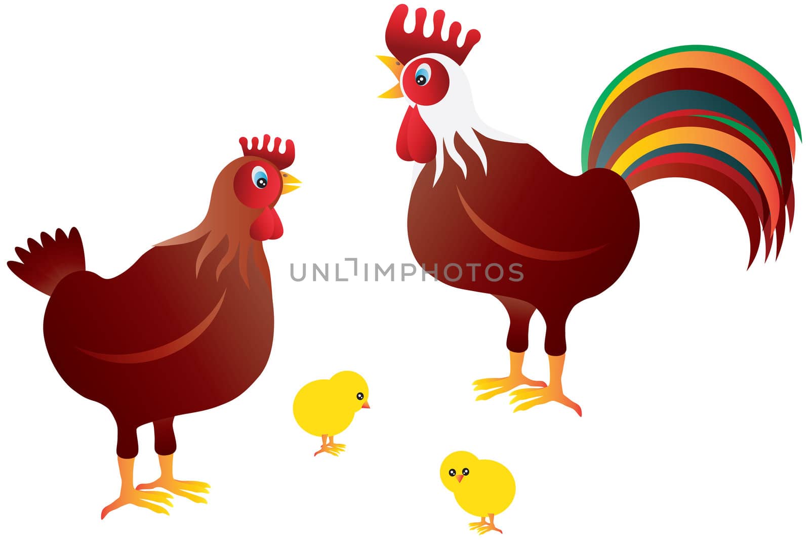 Chicken Family Illustration by jpldesigns