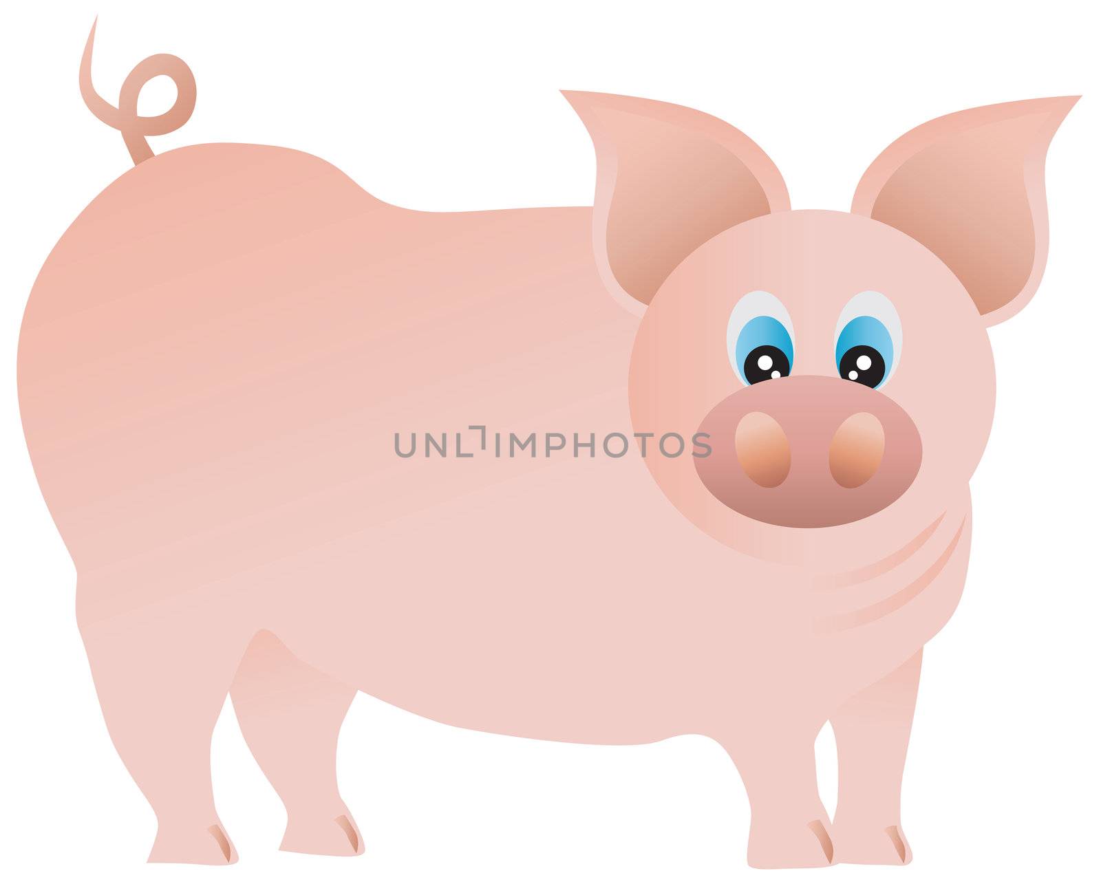 Cute Pig Illustration Isolated on White Background