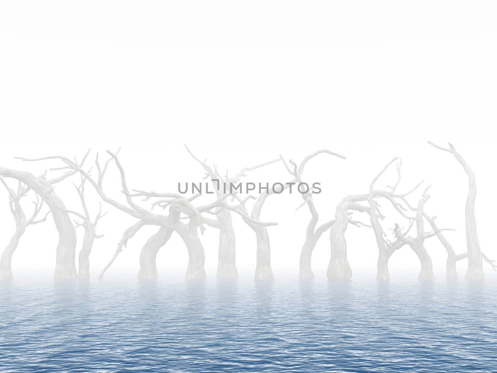 Dead trees in surroundings water as a result of flood on a foggy background