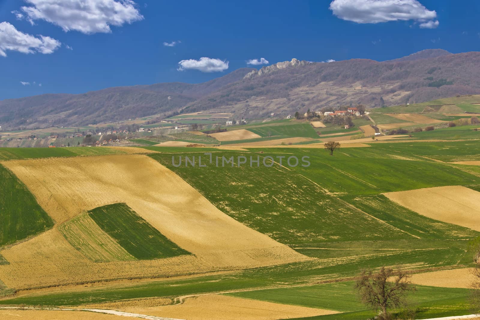 Beautiful green scenery - fields and mountain by xbrchx