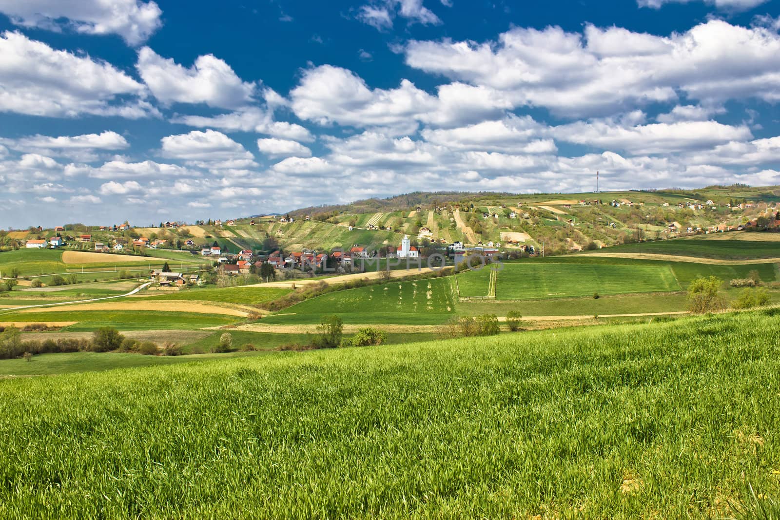 Beautiful green springtime landscape in Croatian village by xbrchx