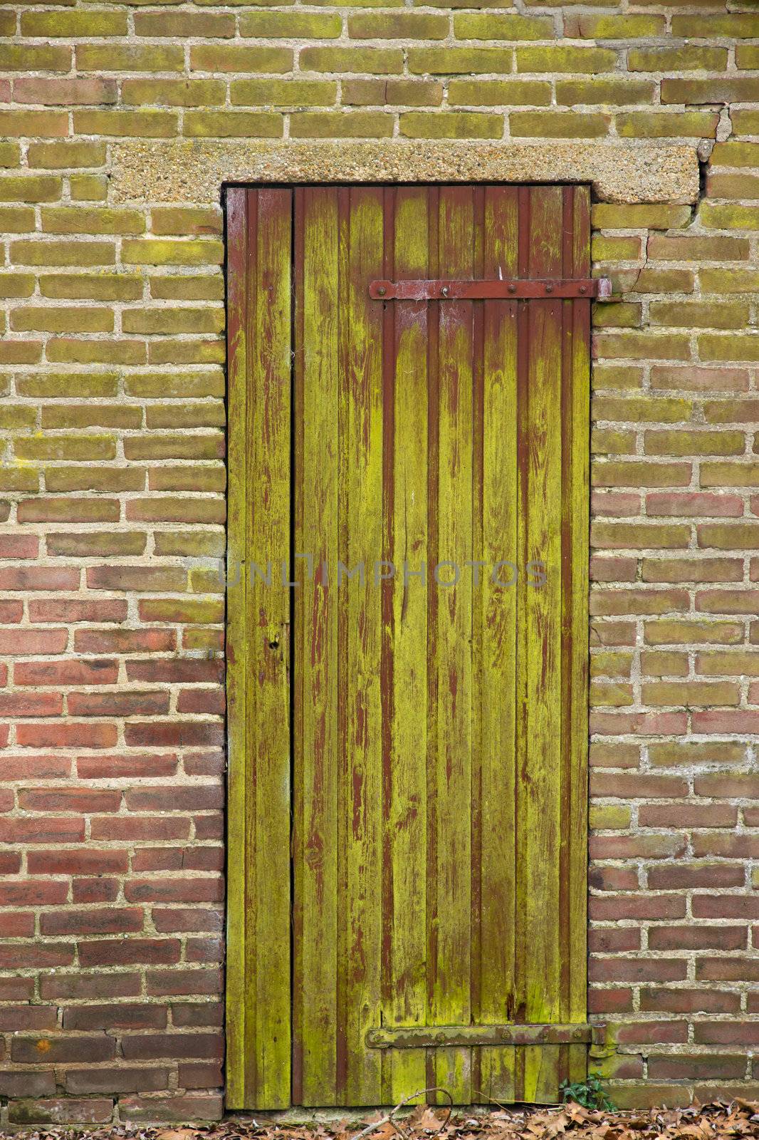 Weathered door in an old wall
