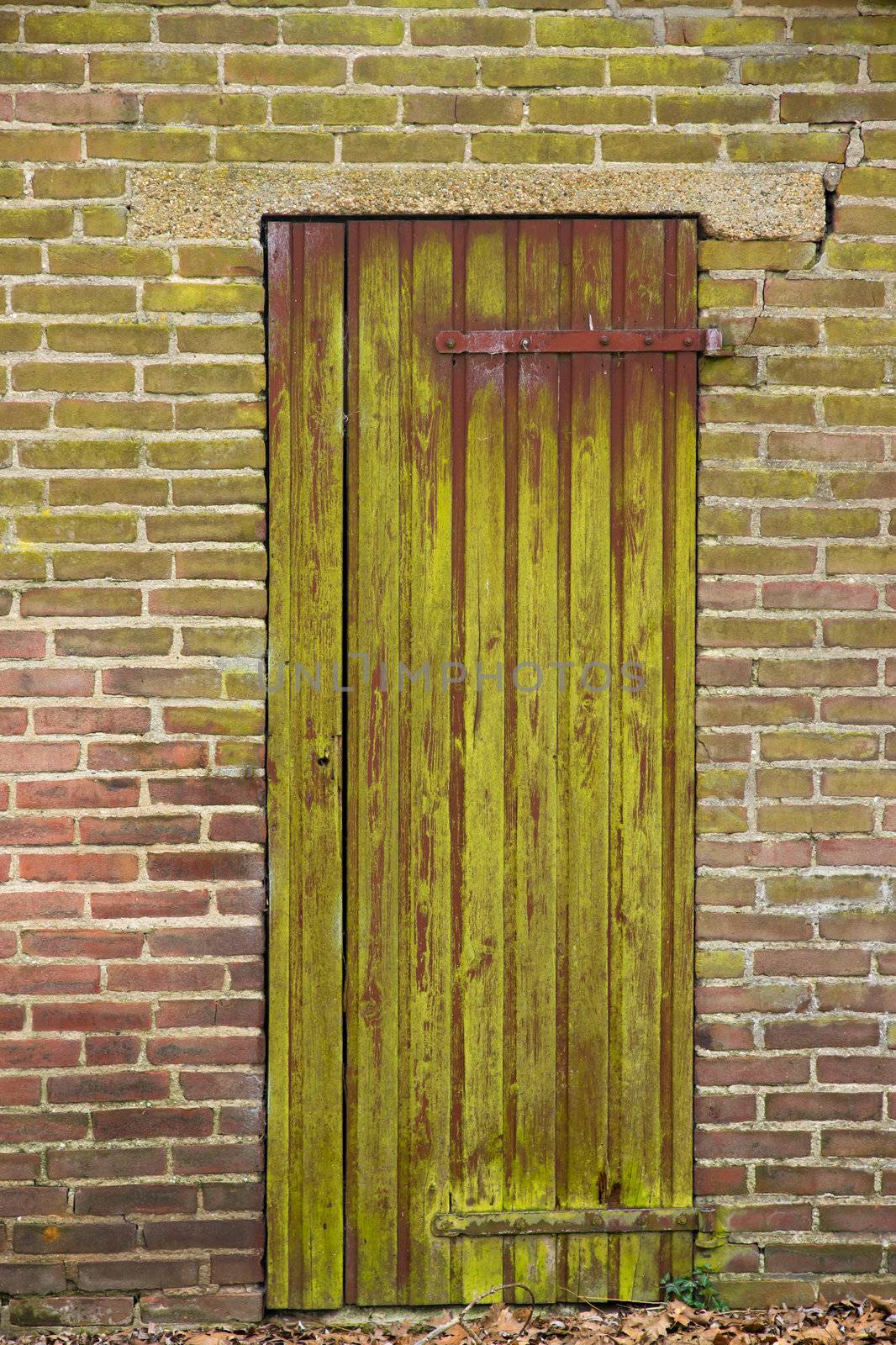 Weathered door by tonlammerts