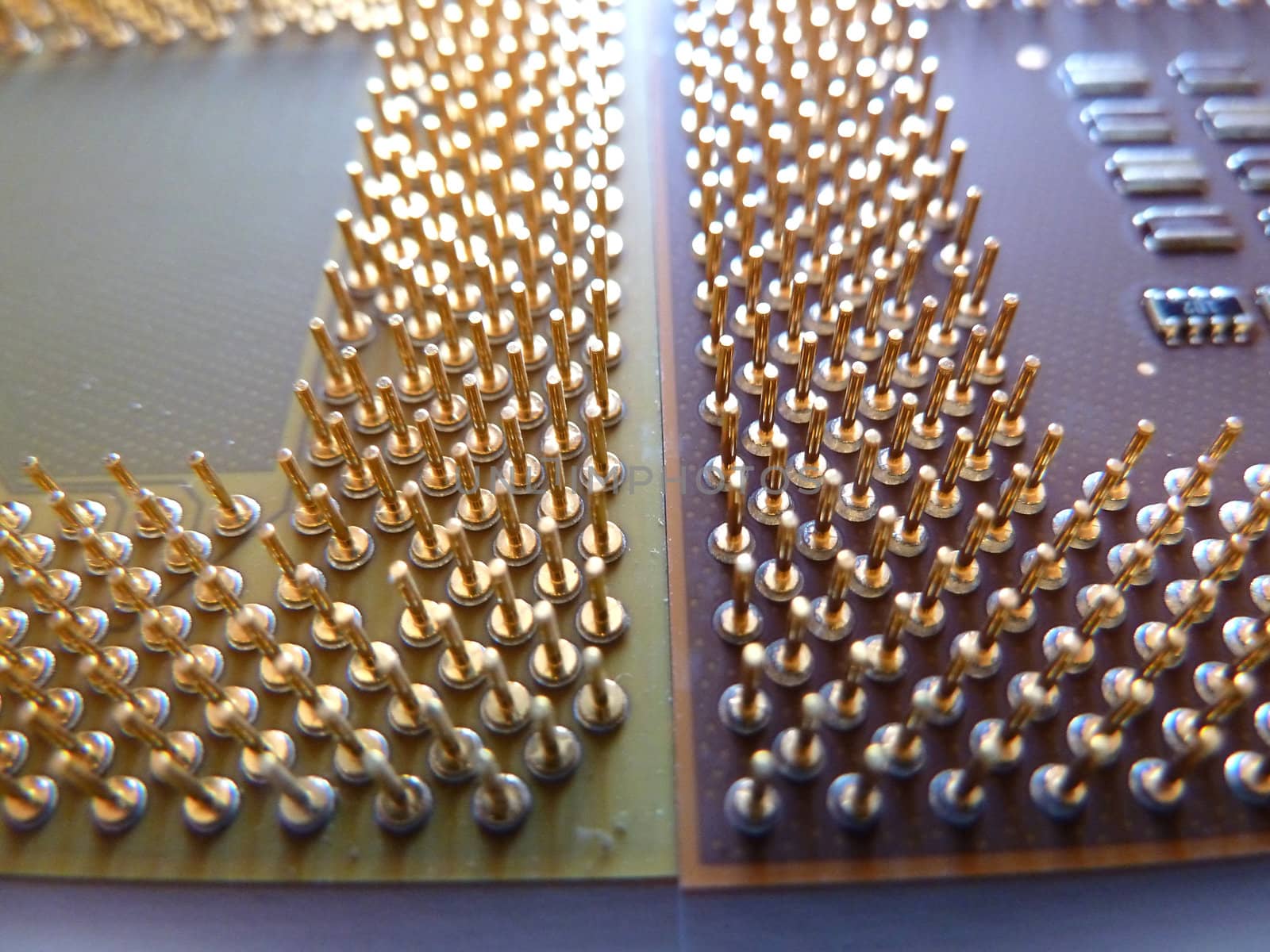 closeup of gold pins on microprocessor chips