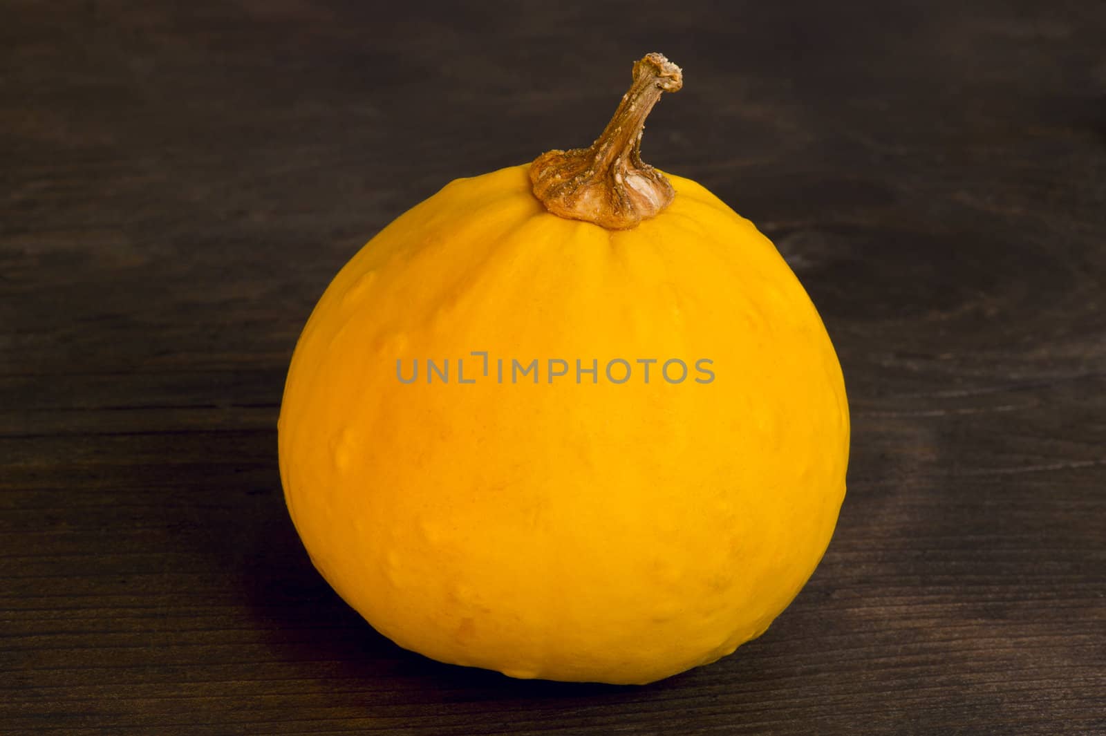 Decorative pumpkin by Kamensky