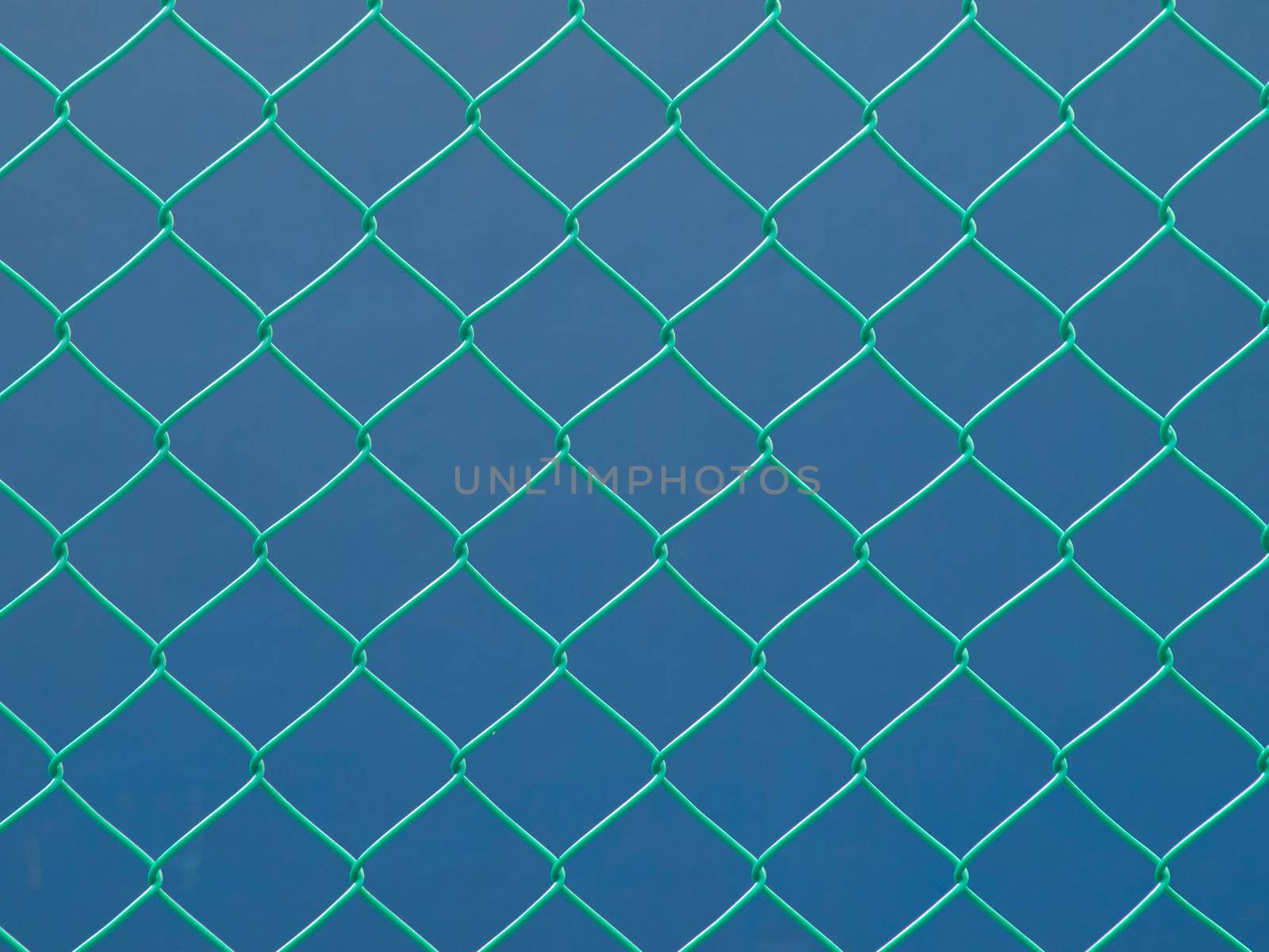 close up of green wire fence