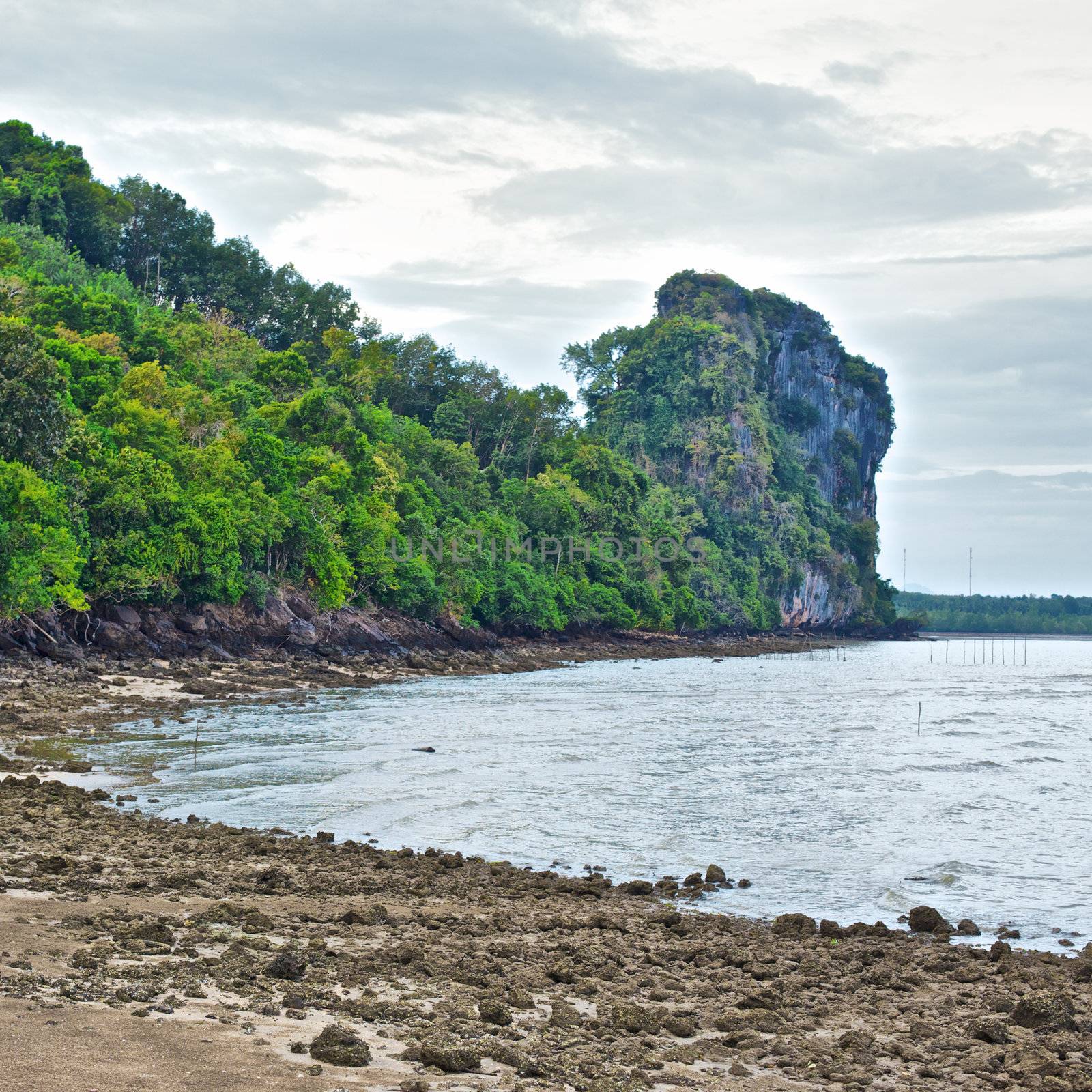 seashore with tall cliff, Andaman Sea, Thailand