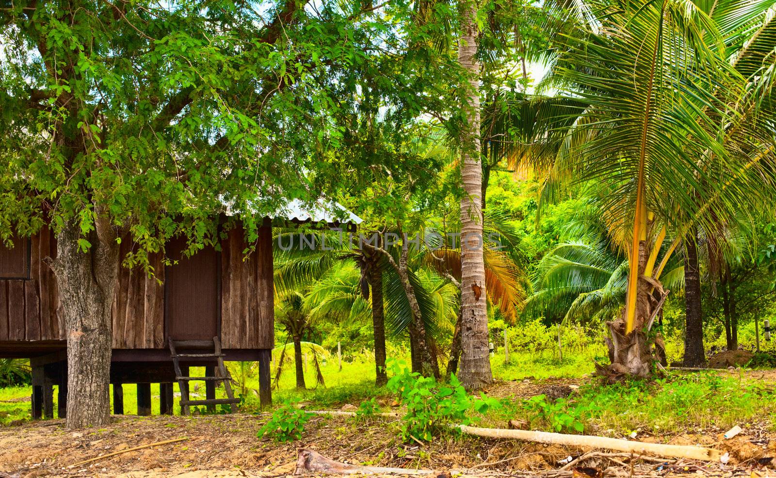 hut in jungle, Koh Lanta Noi, Thailand